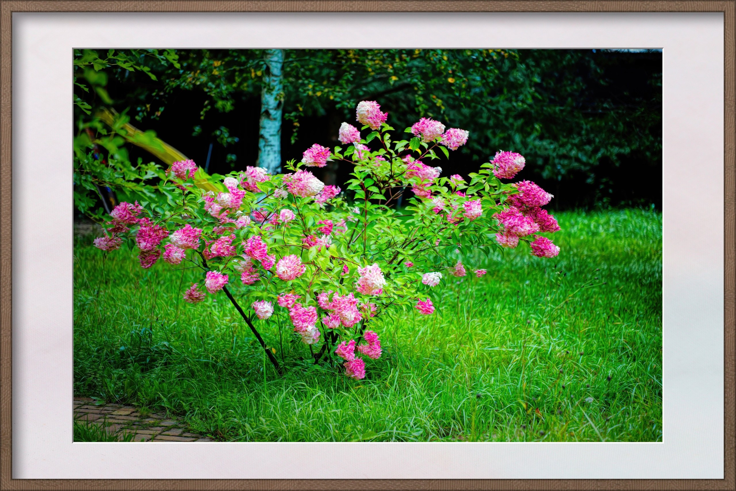 ПРИРОДА. Слепки времени. Фотографии природы и событий. Москва. Сергей Аллагулов