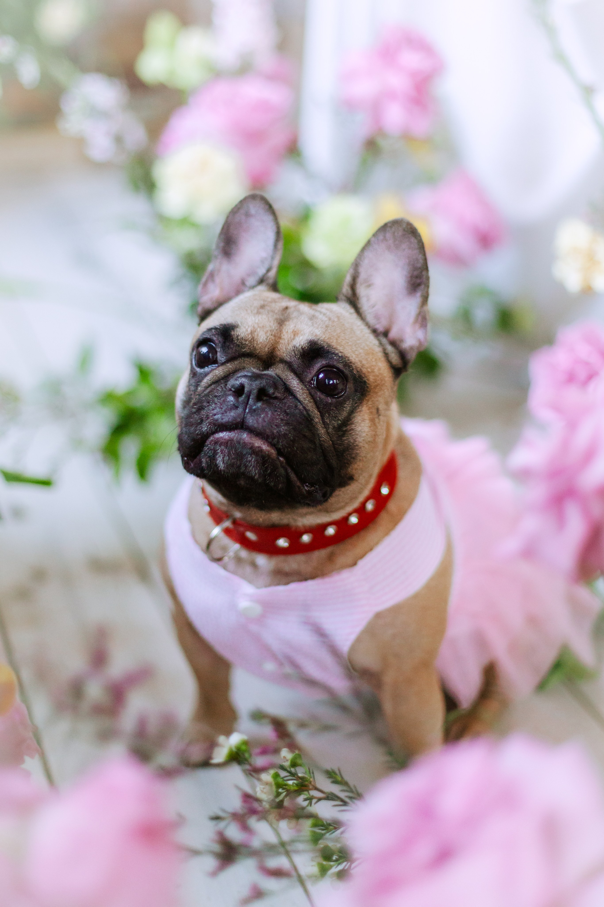 Наталья и Фрося. Фотограф-анималист Татьяна Степанова