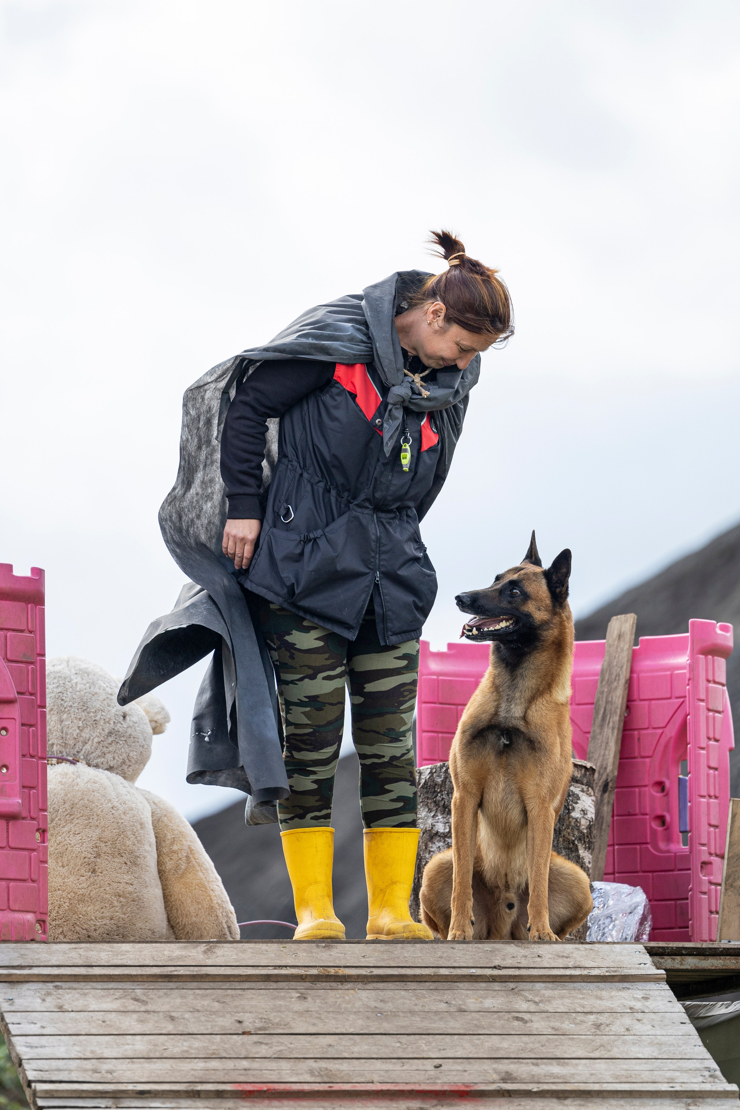 Соревнования по Мондьорингу г. Вологда 10-11.08.2024. Фотограф-анималист Анна Маринич