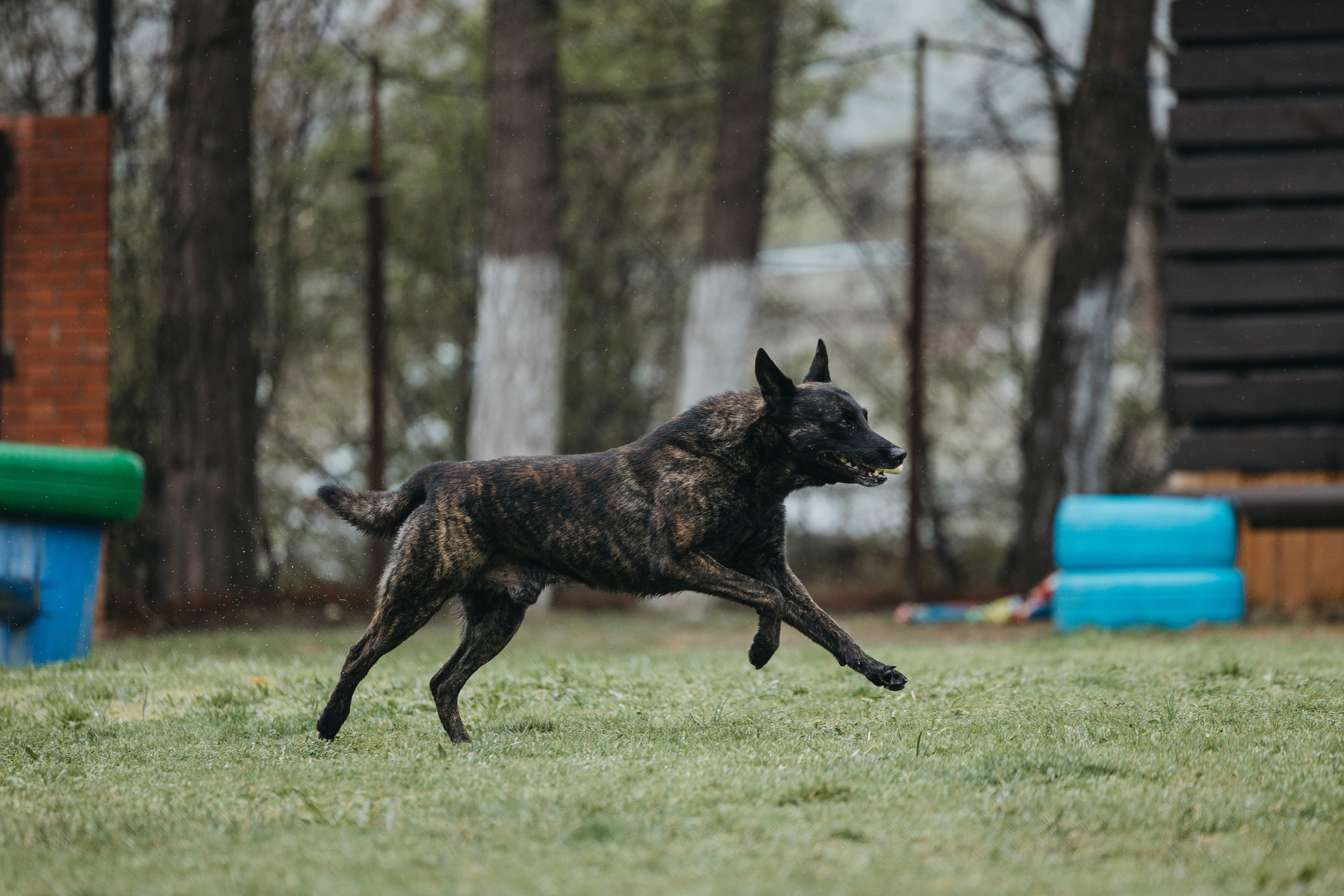 Геленджик Мондьоринг. Фотограф-анималист Анна Маринич