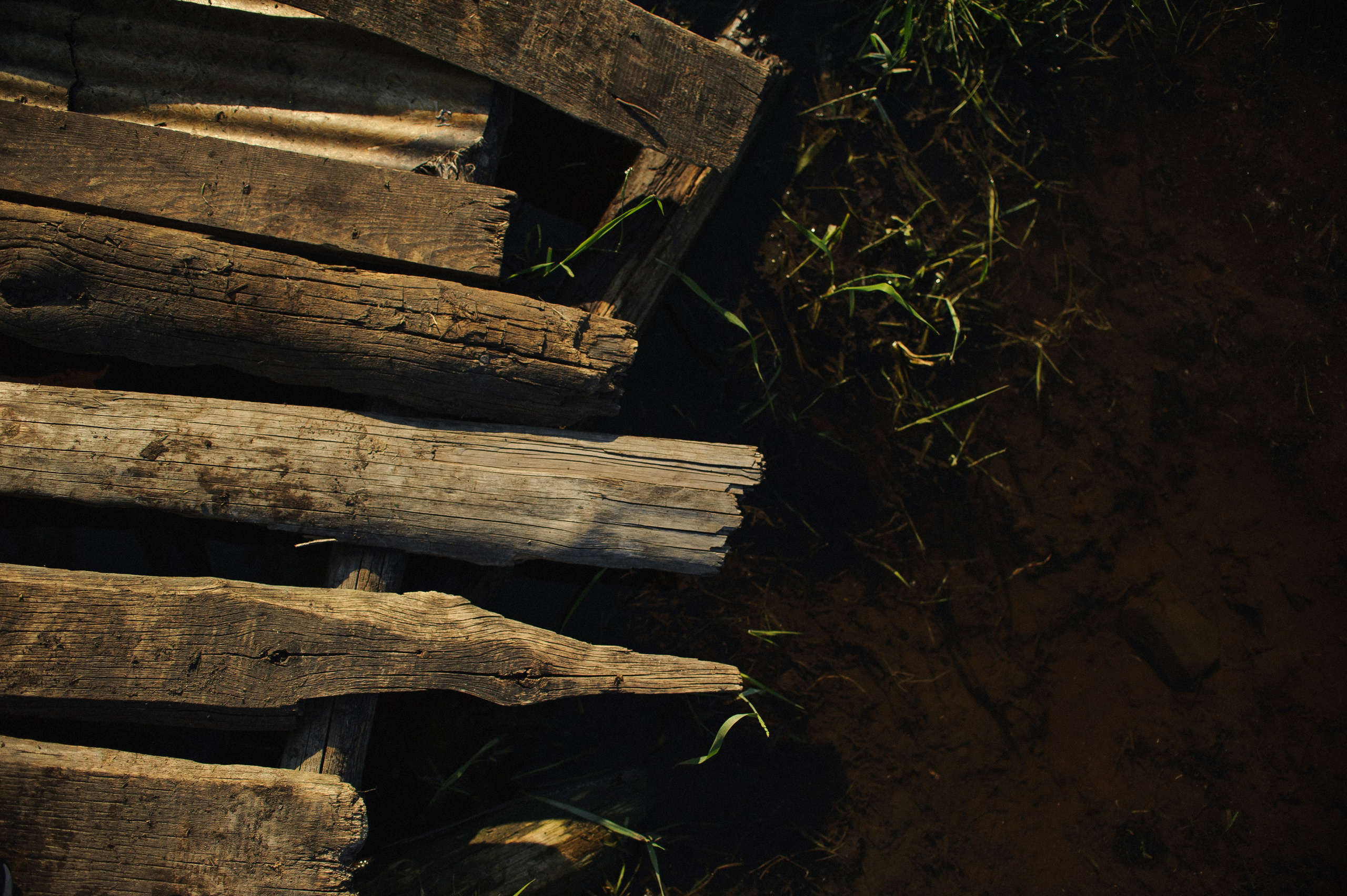 Зульфия+Даша. Фотограф в Екатеринбурге Артём Зайнетдинов