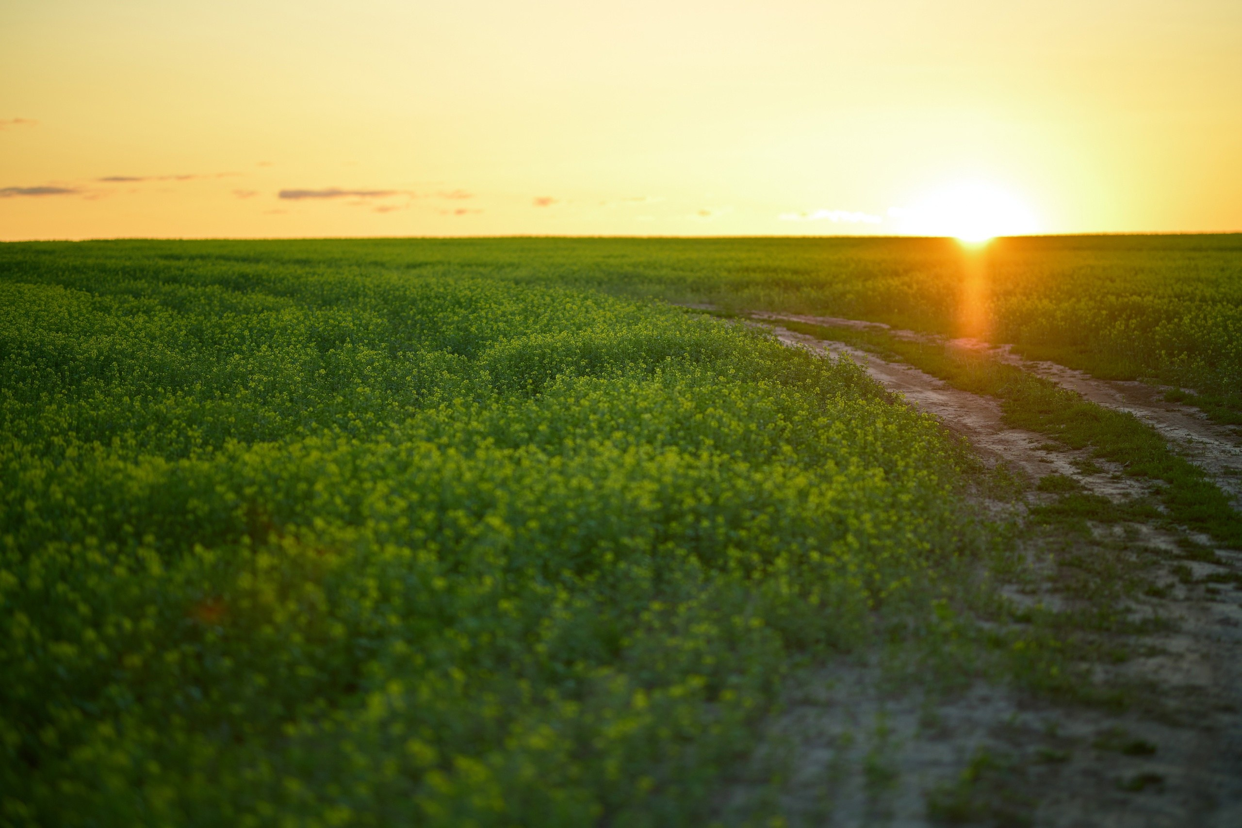 Пейзажная фотосъемка. Владимир Суздалов (ProMaXe) — Портретный фотограф, тематические фотосессии в Чебоксарах