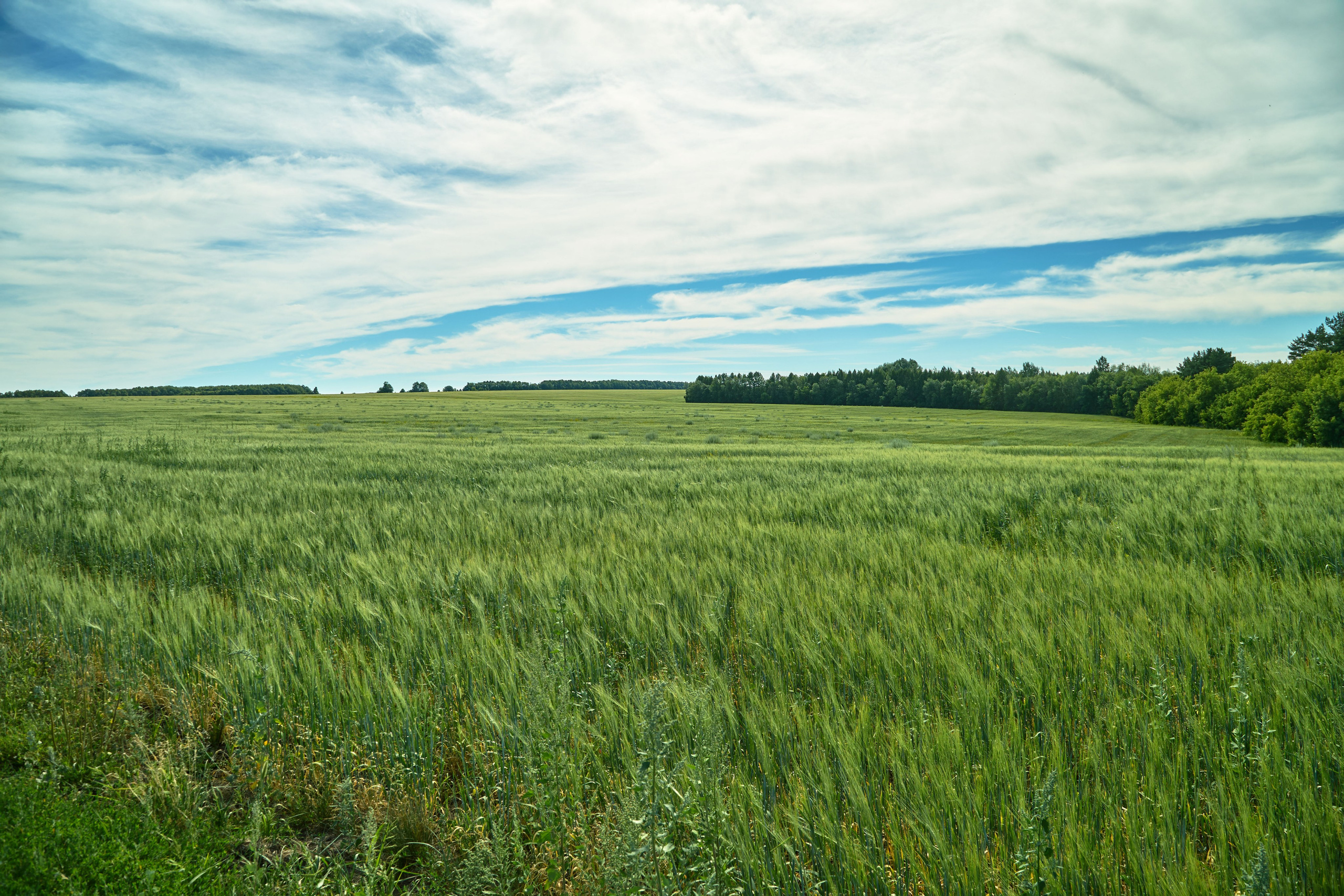 Пейзажная фотосъемка. Владимир Суздалов (ProMaXe) — Портретный фотограф, тематические фотосессии в Чебоксарах
