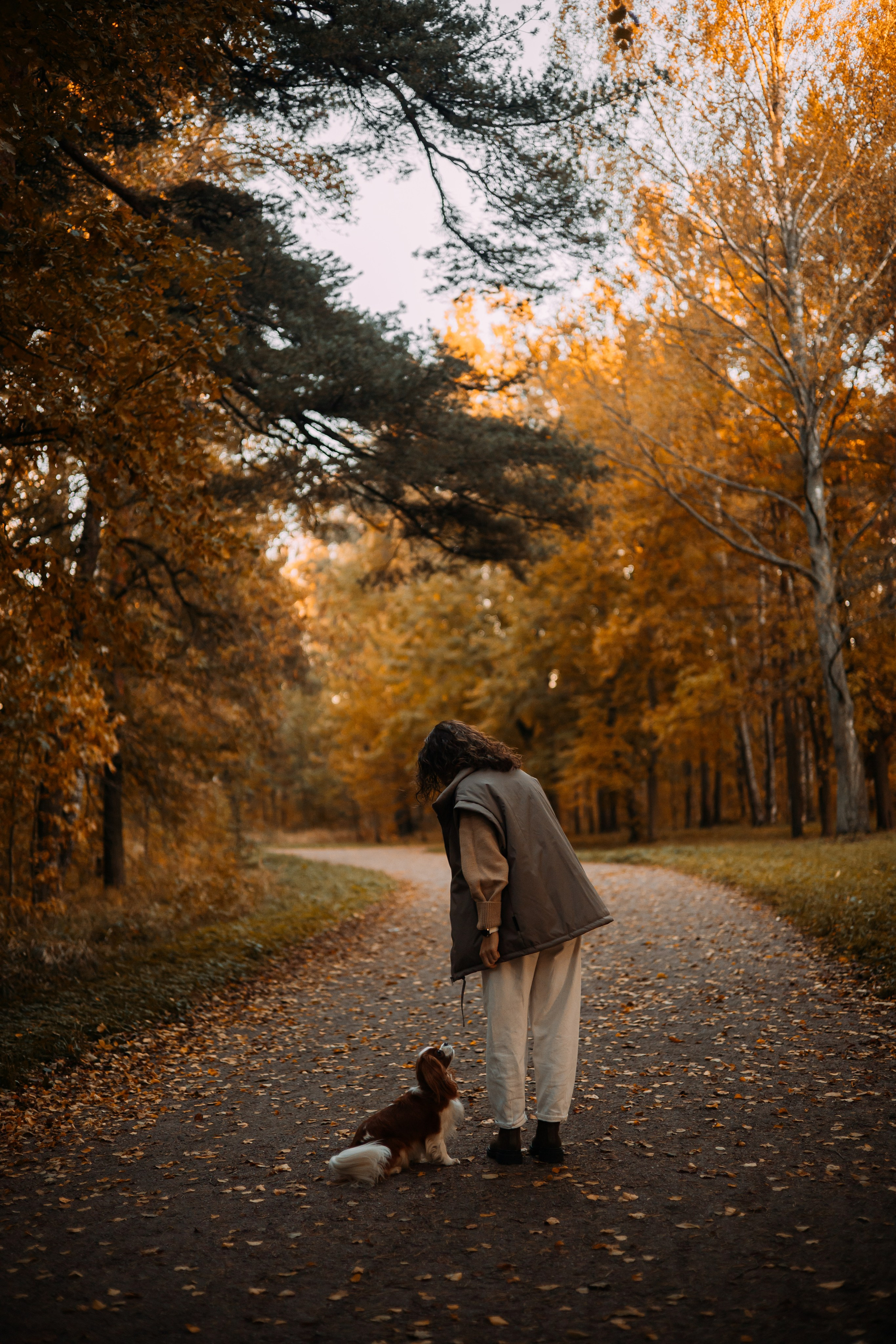 Снежанна и Тесси. Фотограф — анималист •love-story•|Санкт-Петербург