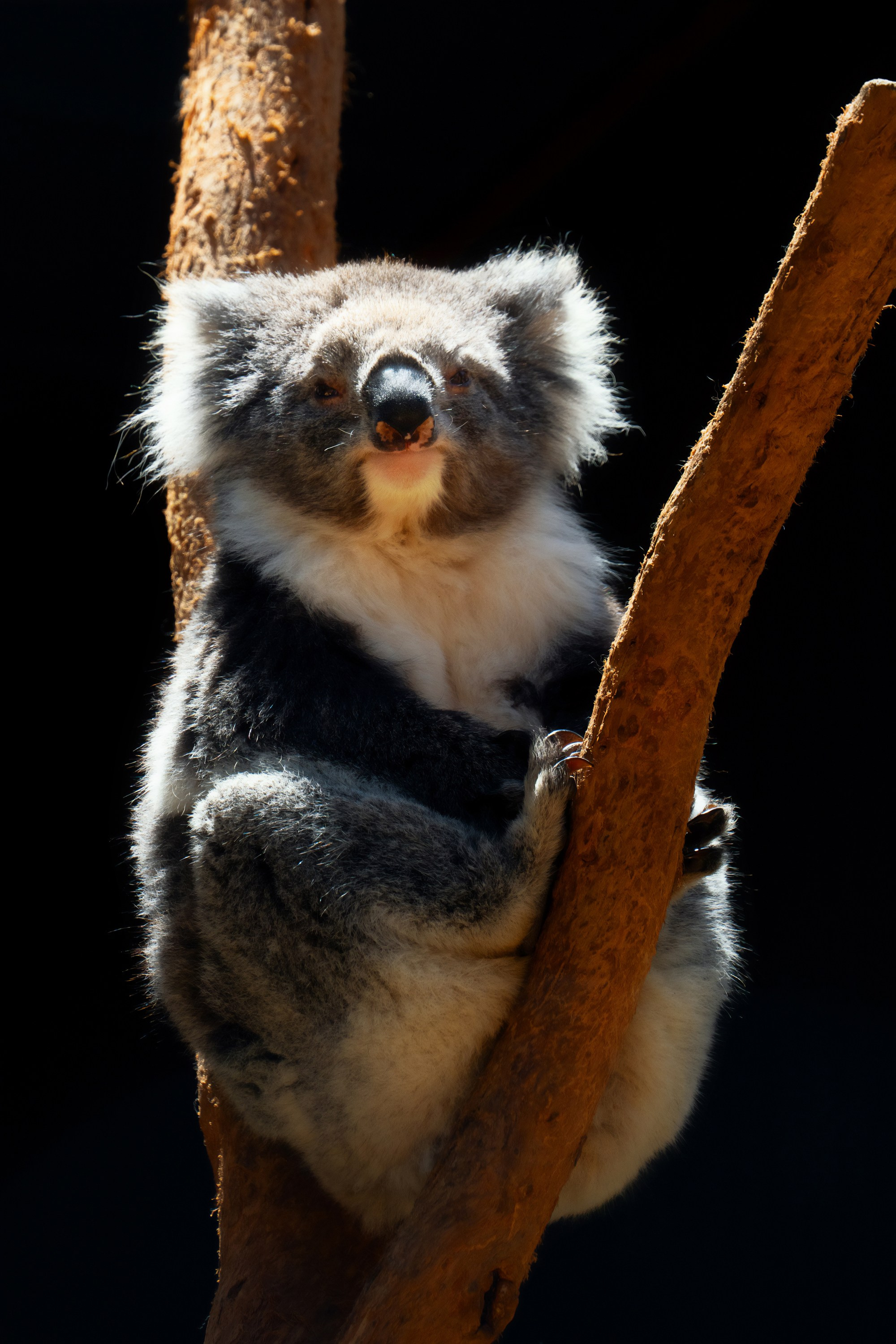 Портфолио. Фотограф в Хабаровске. Фотография за 24 часа