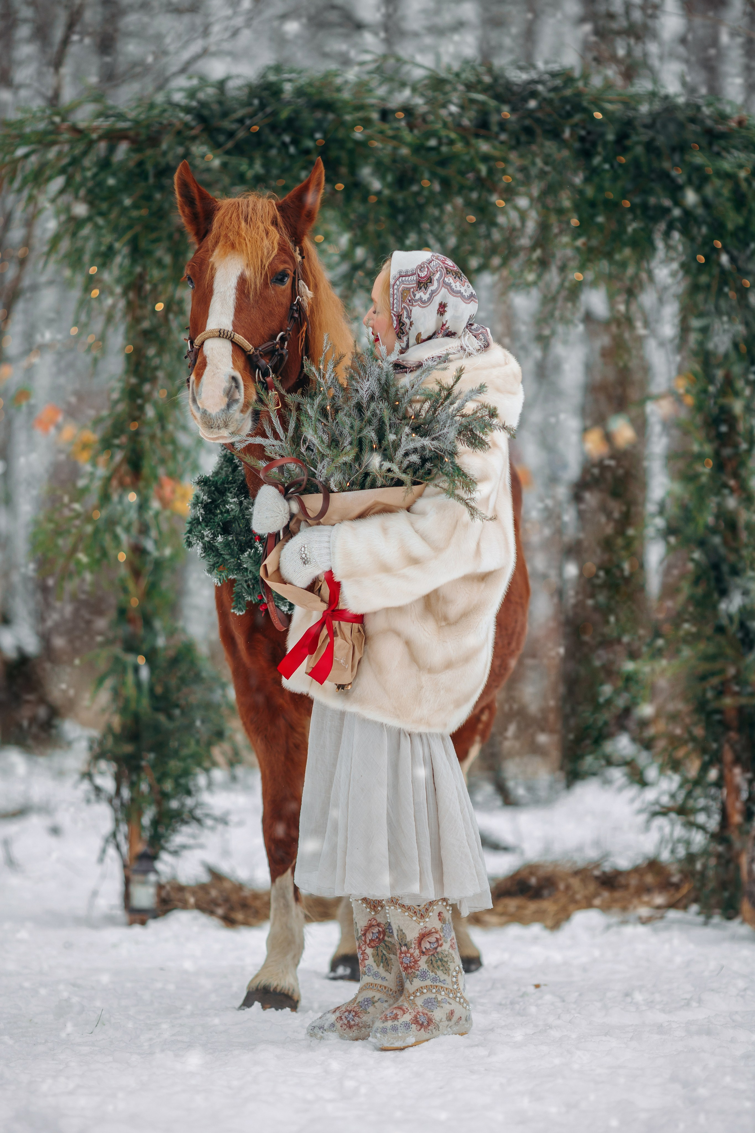 Тариф Новогодний 2025-2026. Анна Молчанова конный фотограф в Тюмени | фотосессии с лошадьми Тюмень
