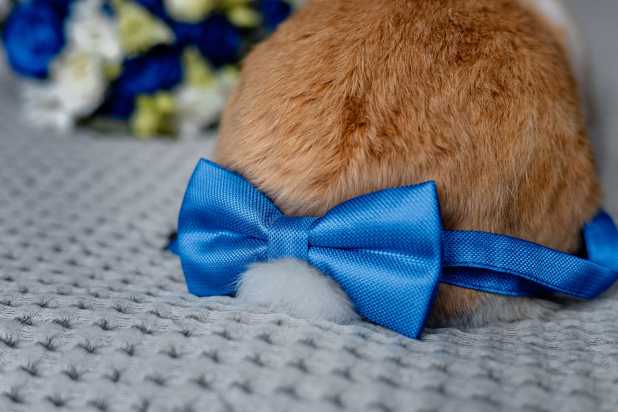 Николай и Ольга | Черняховск, Понарт, замок Инстербург. Фотограф Елена Медок Калининград