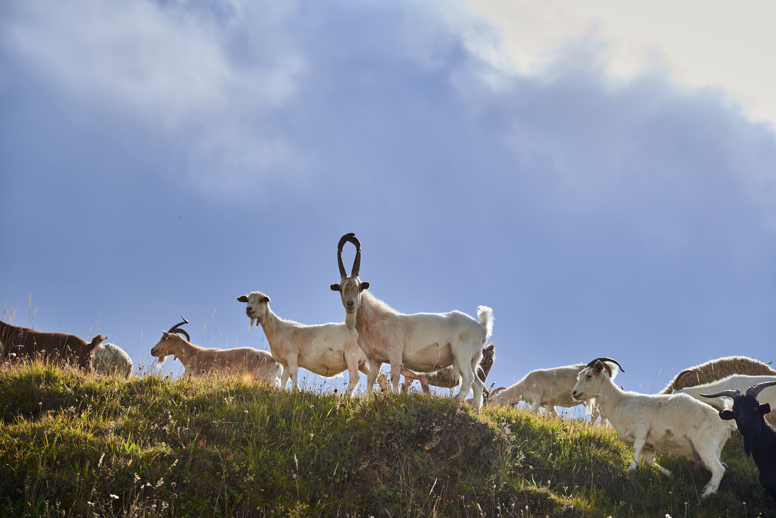 Путешествия. Интерьерный и портретный фотограф в Москве Анна Моногарова