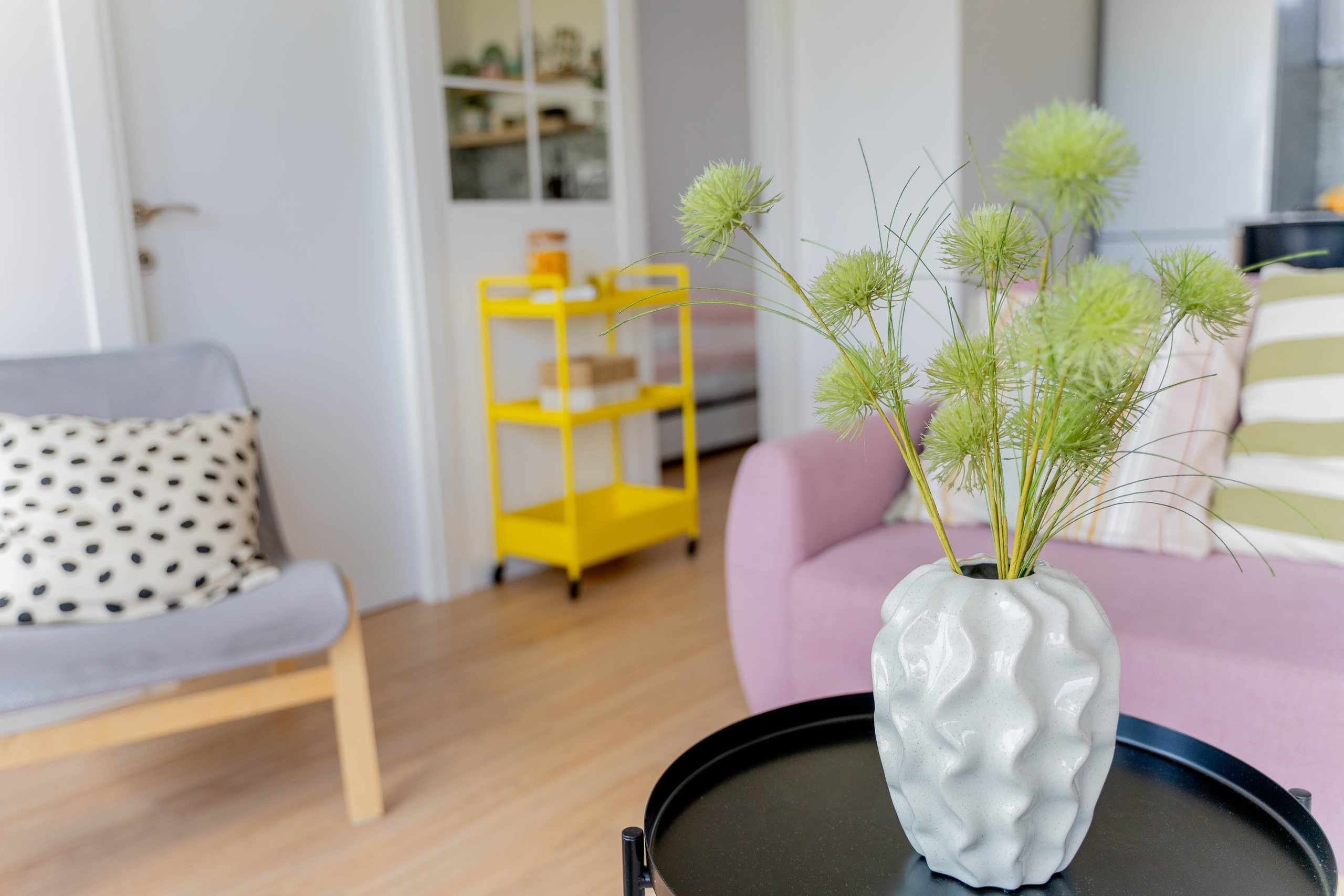 Rent a NEST Arandjelovac. Меня зовут Лиана.я видеограф и фотограф 📍 Работаю в Москве и МО