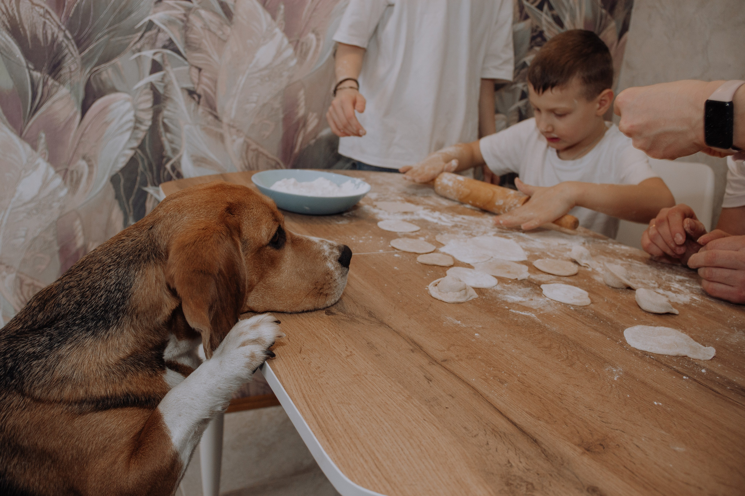 Андреевы. Фотограф Елена Зиновьева