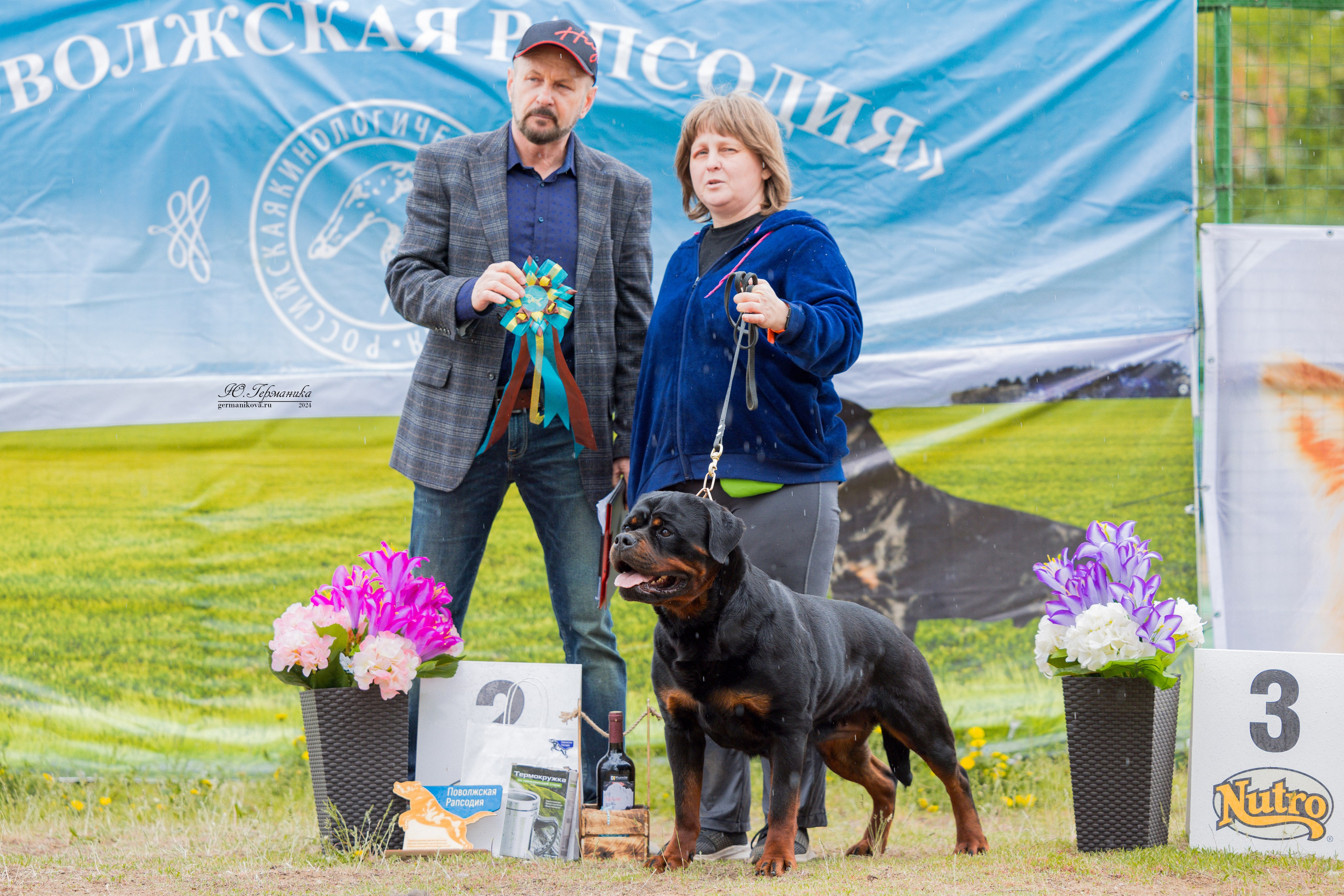 Саратов 2 х моно ротвейлеров 28-29.04.2024. Фотограф-анималист Юлия Германика