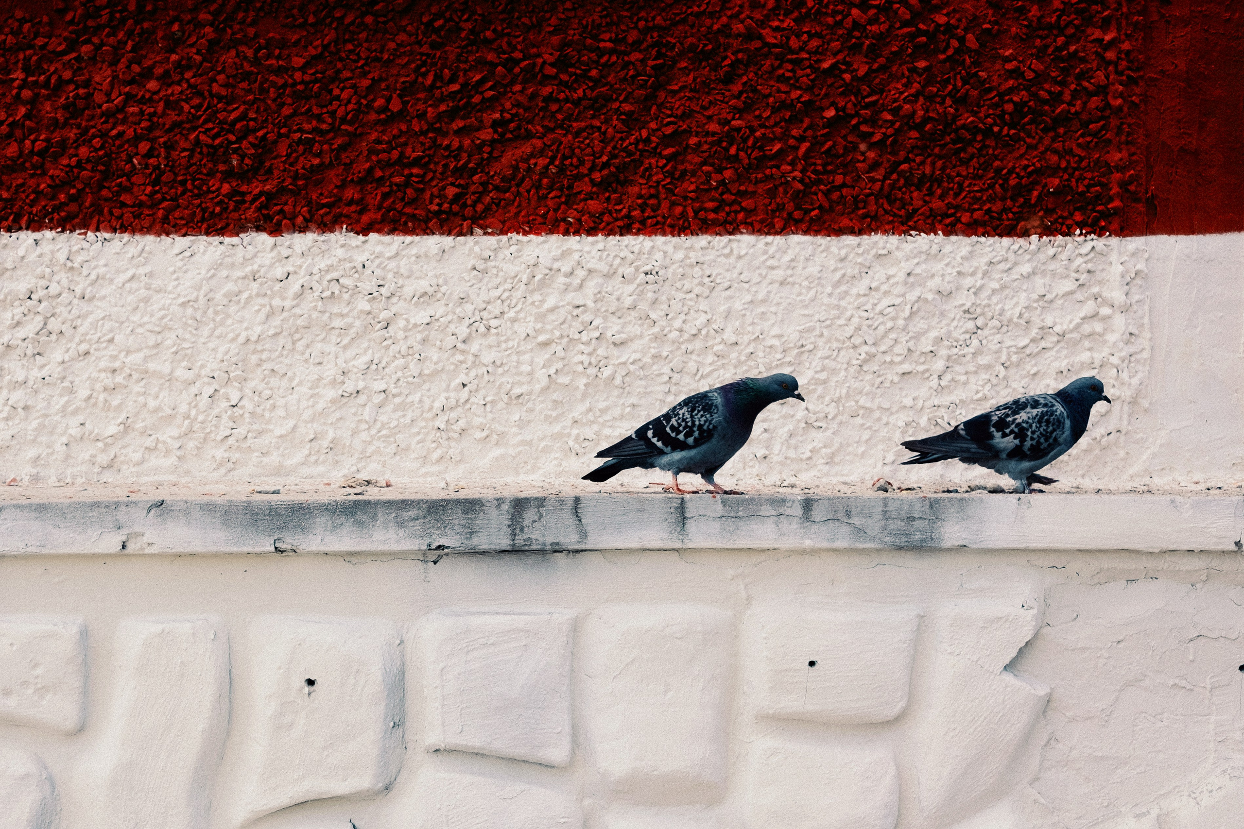 Улицы. Фотограф Артём Бобков Сургут