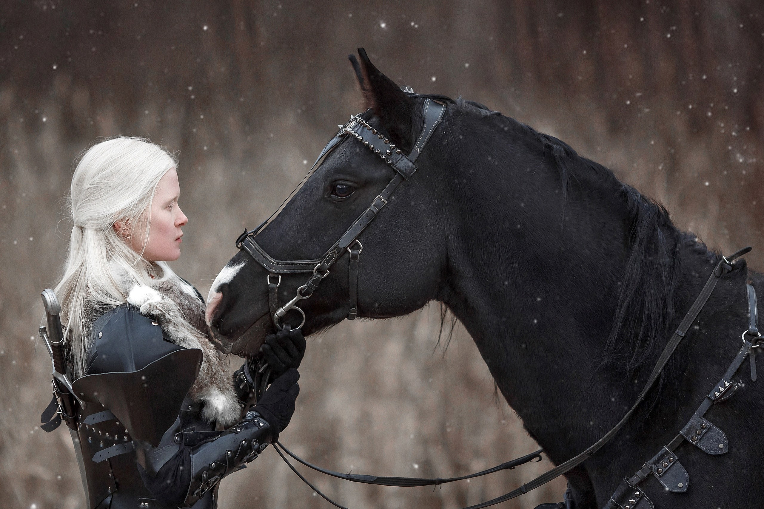 Валькирия, латы (нагрудник, наплечники, наручи, краги на ноги). Сказочный фотограф фотопроекты фототуры в Новосибирске и на Алтае
