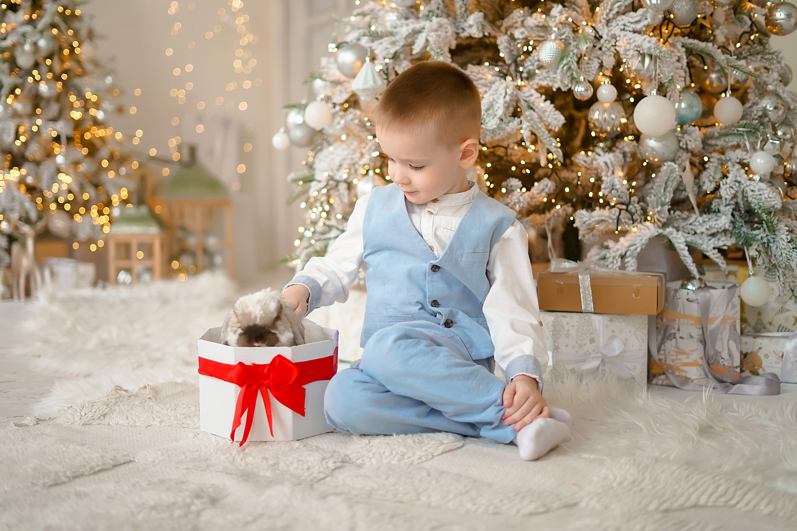 Happy new year. Фотограф Татьяна Митрофанова