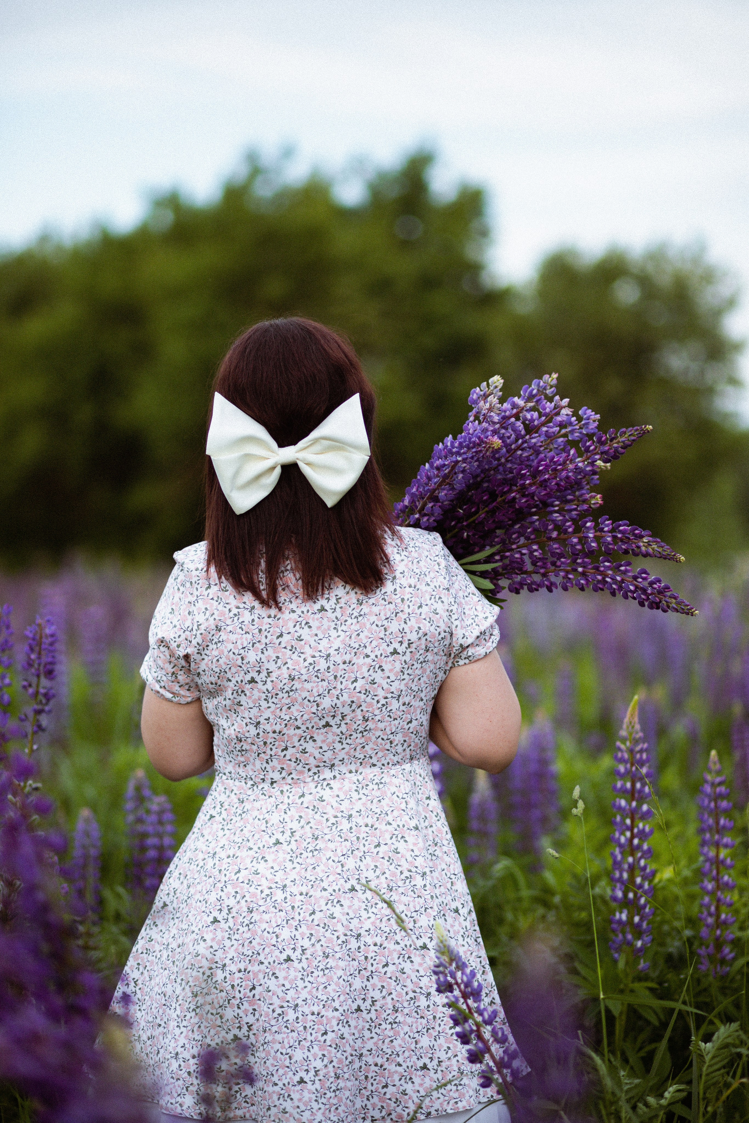 Июньские люпины. Фотограф в Москве/Санкт-Петербурге