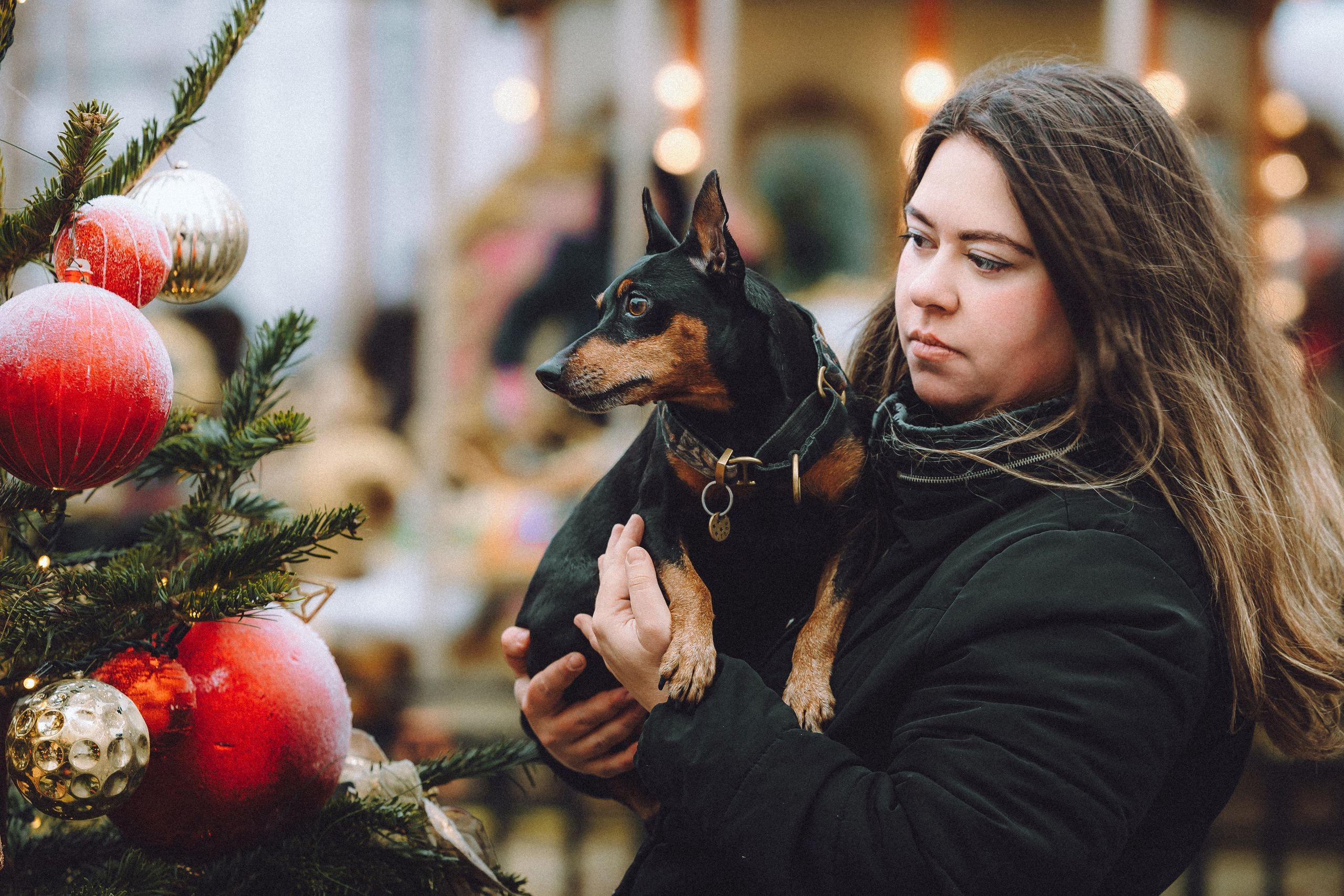 Топик и его семья