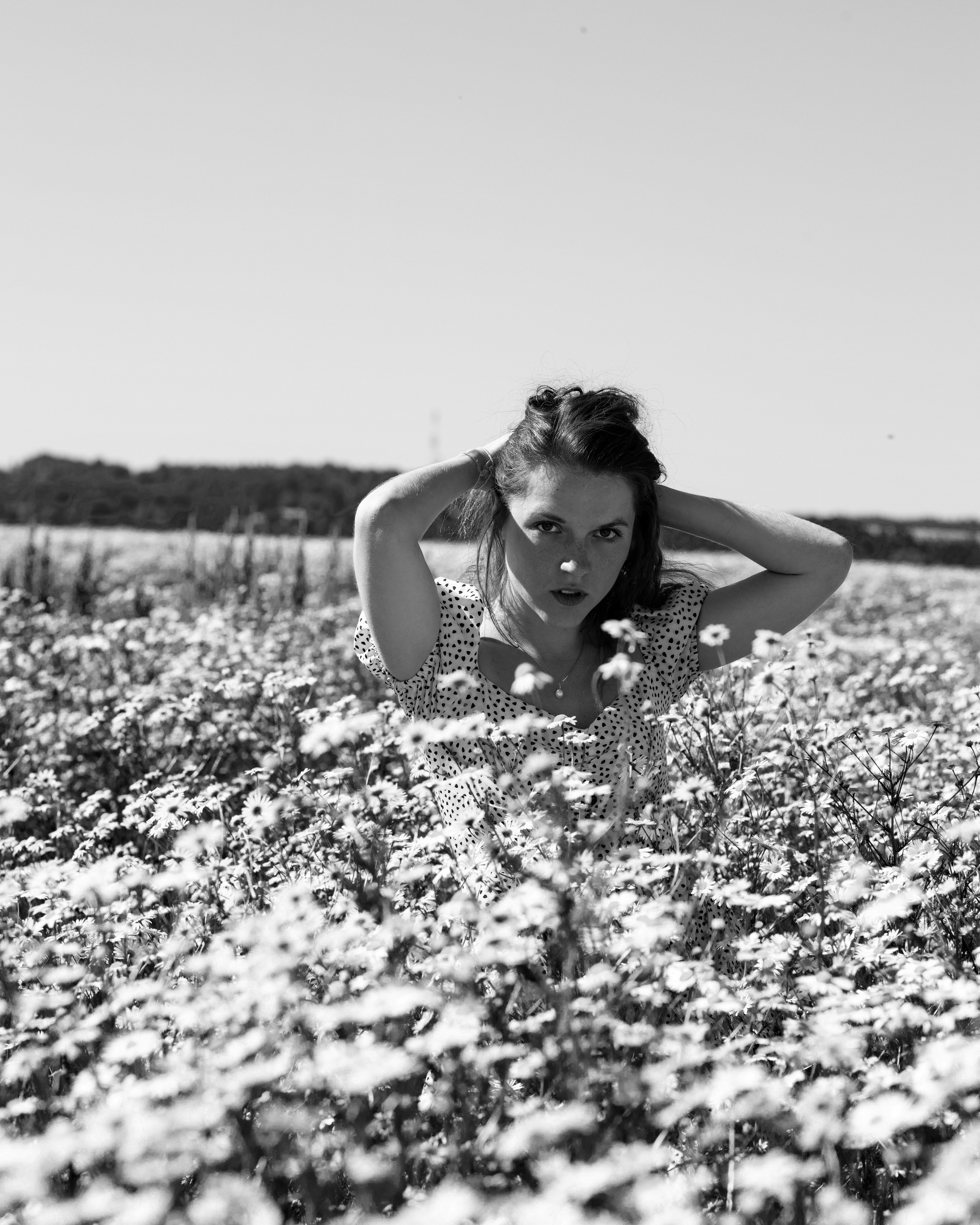 ЧБ ромашки. Портретный фотограф Екатерина Лысенко, Москва