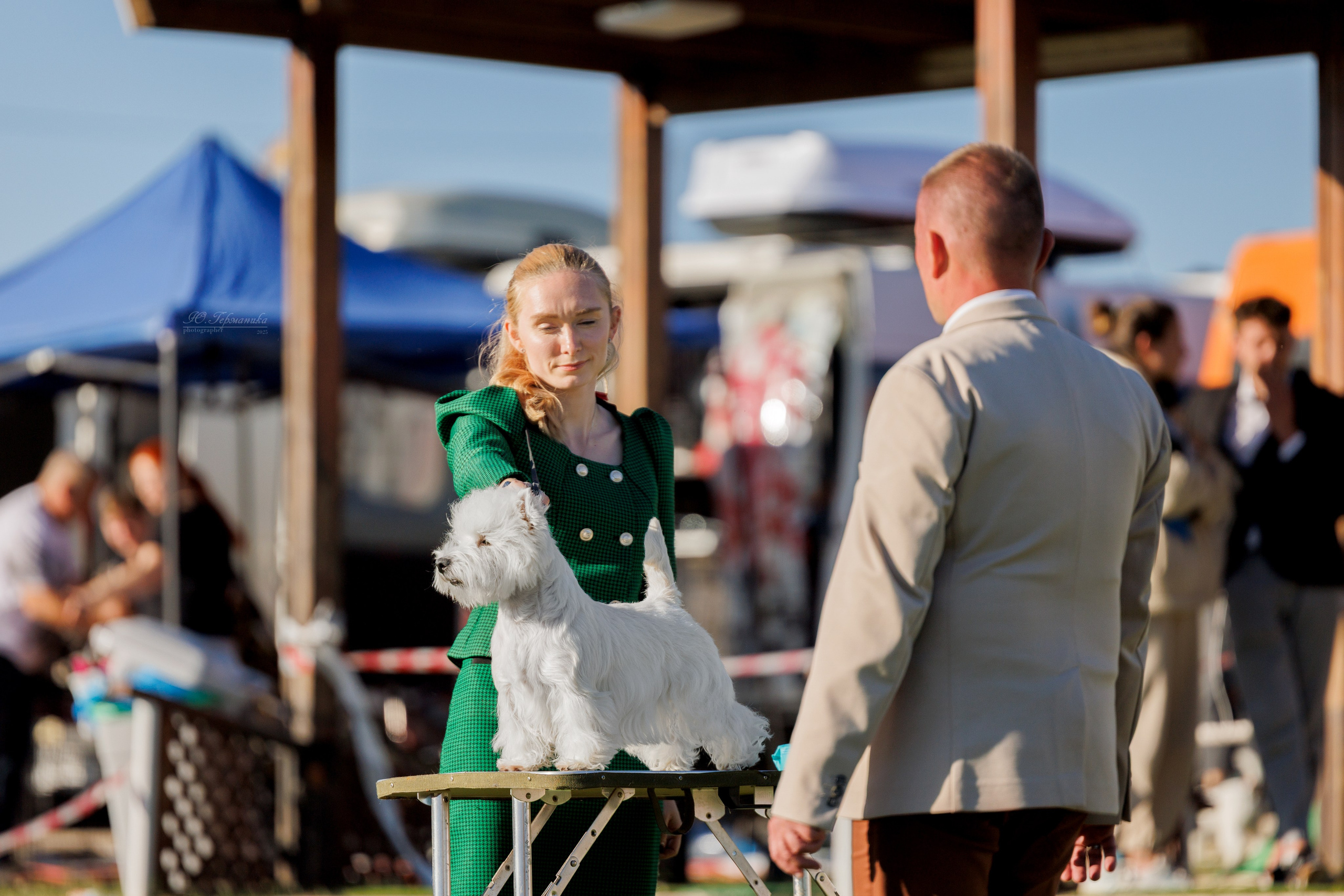 Ереван 14-16.10.2025. Фотограф-анималист Юлия Германика