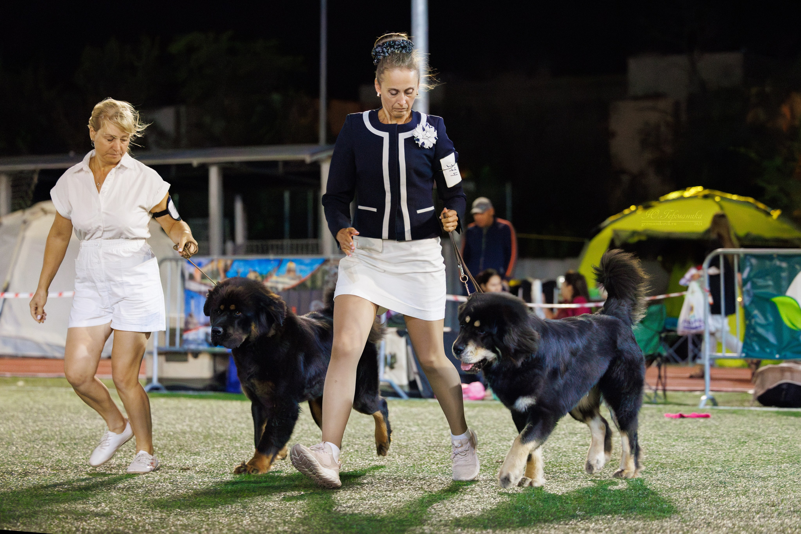 Волгоград 2-4.08.2024. Фотограф-анималист Юлия Германика