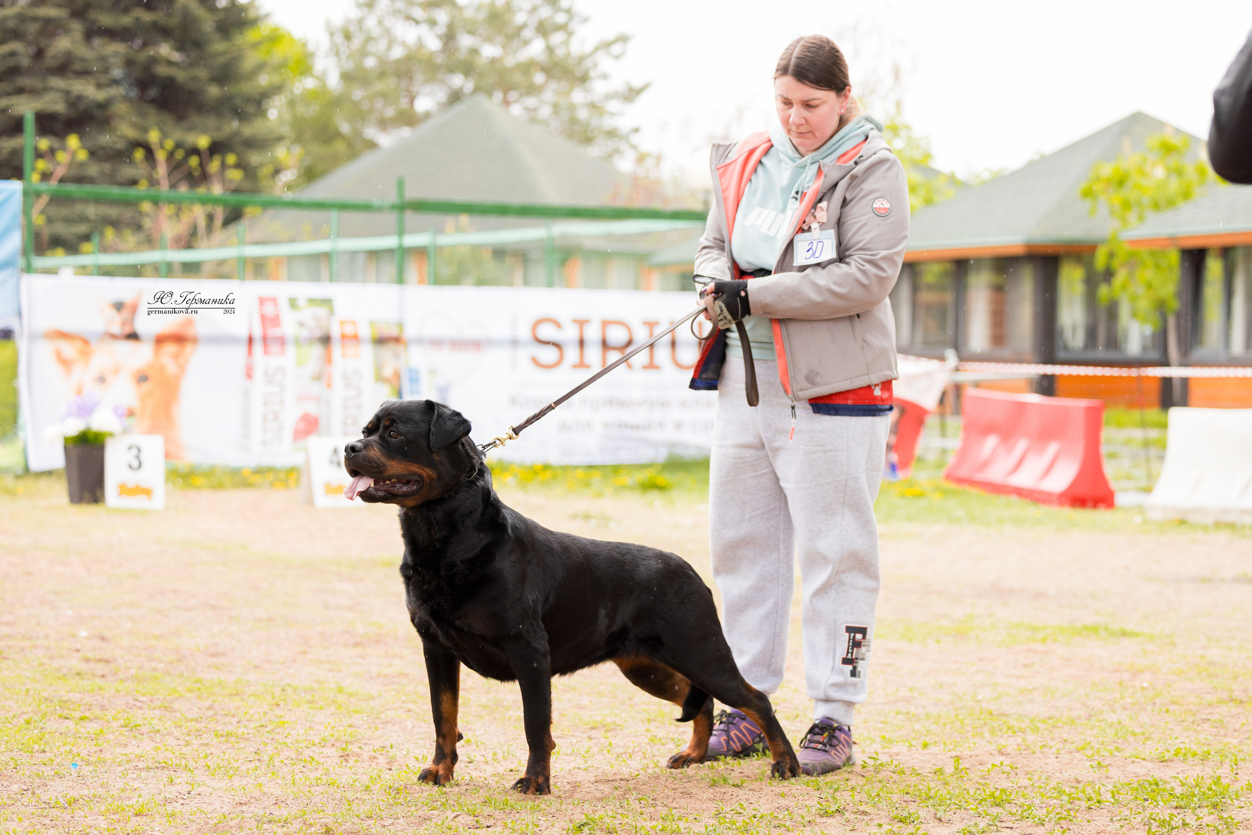 Саратов 2 х моно ротвейлеров 28-29.04.2024. Фотограф-анималист Юлия Германика