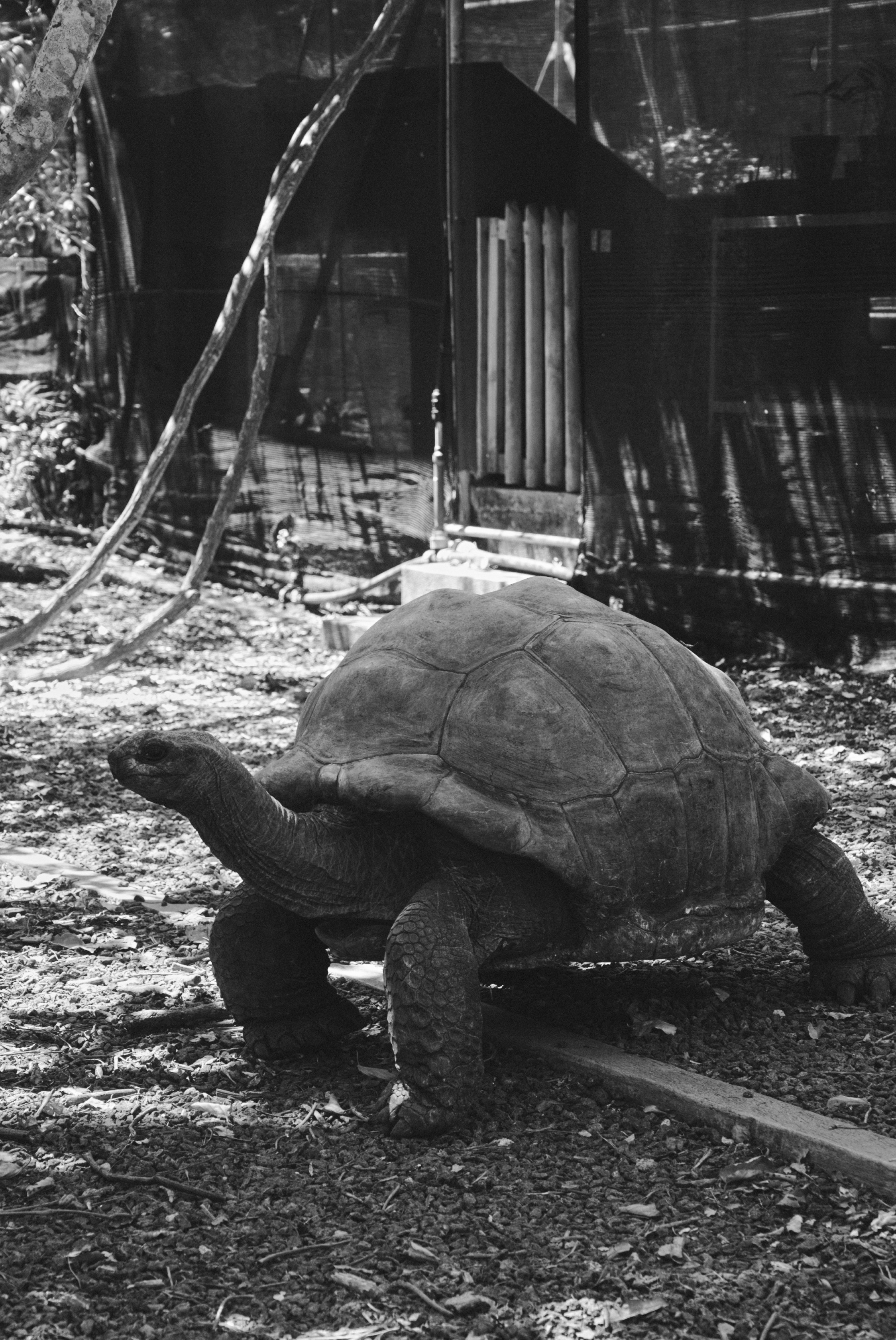 U Magazine x Выездная редакция. Фотограф Сурков Никита