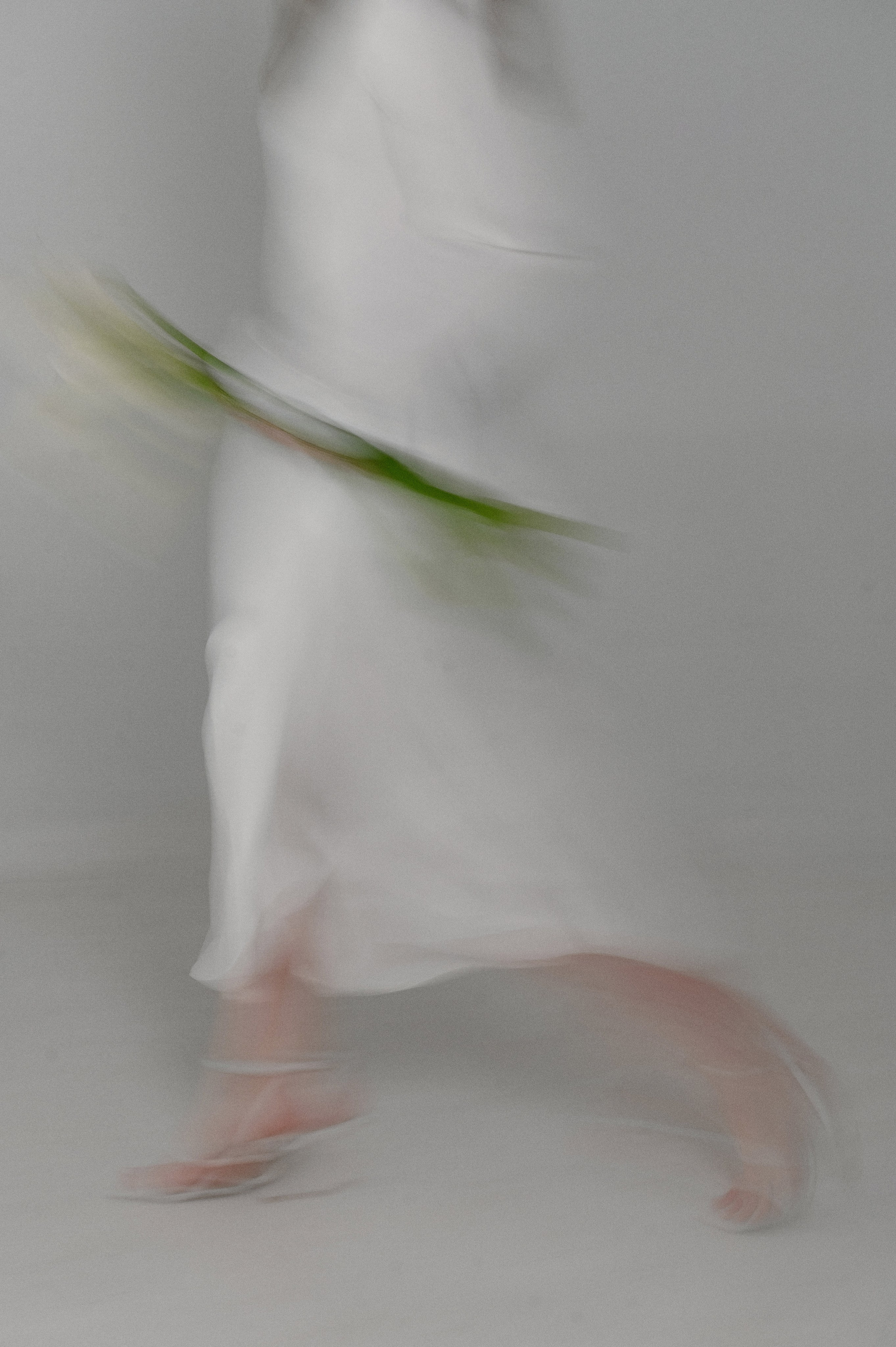 Глеб и Ира. Фотограф Павел Петров г. Тюмень