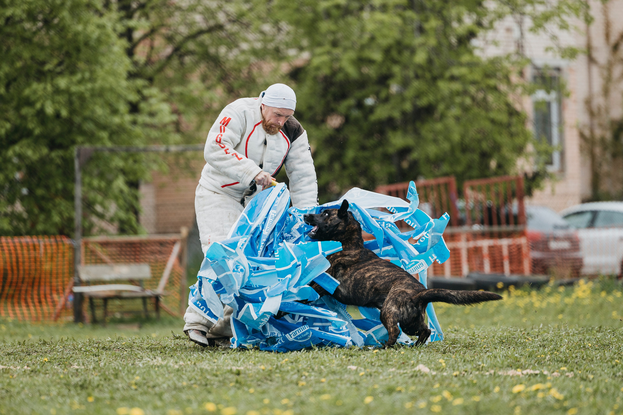 26.05.25 г. Пушкин квалификационные соревнования. Фотограф-анималист Анна Маринич