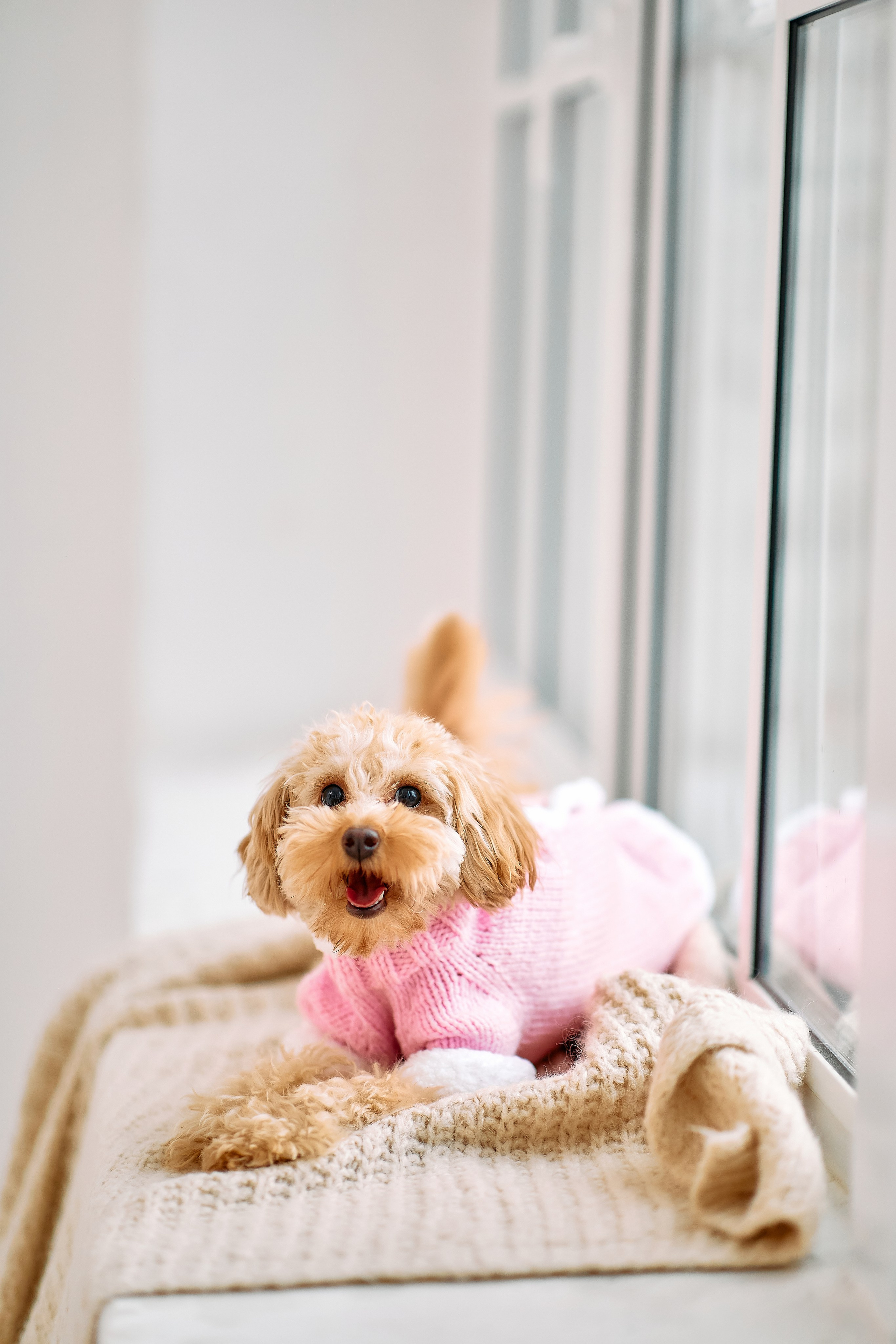 Антониде 1 годик. Семейный и детский фотограф в Ярославле Юлия Галашина