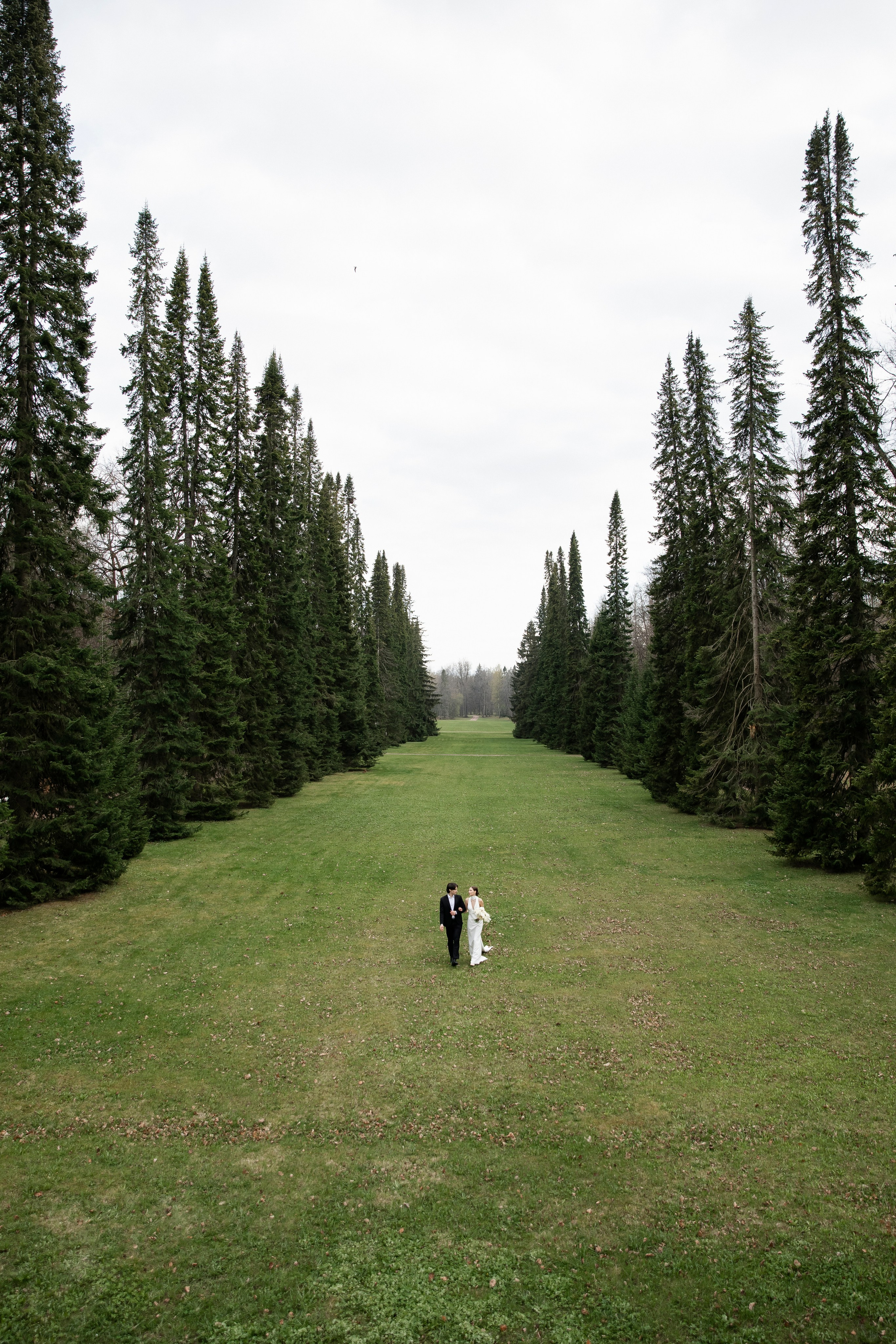 Софья и Юрий. Свадебный и портретный фотограф