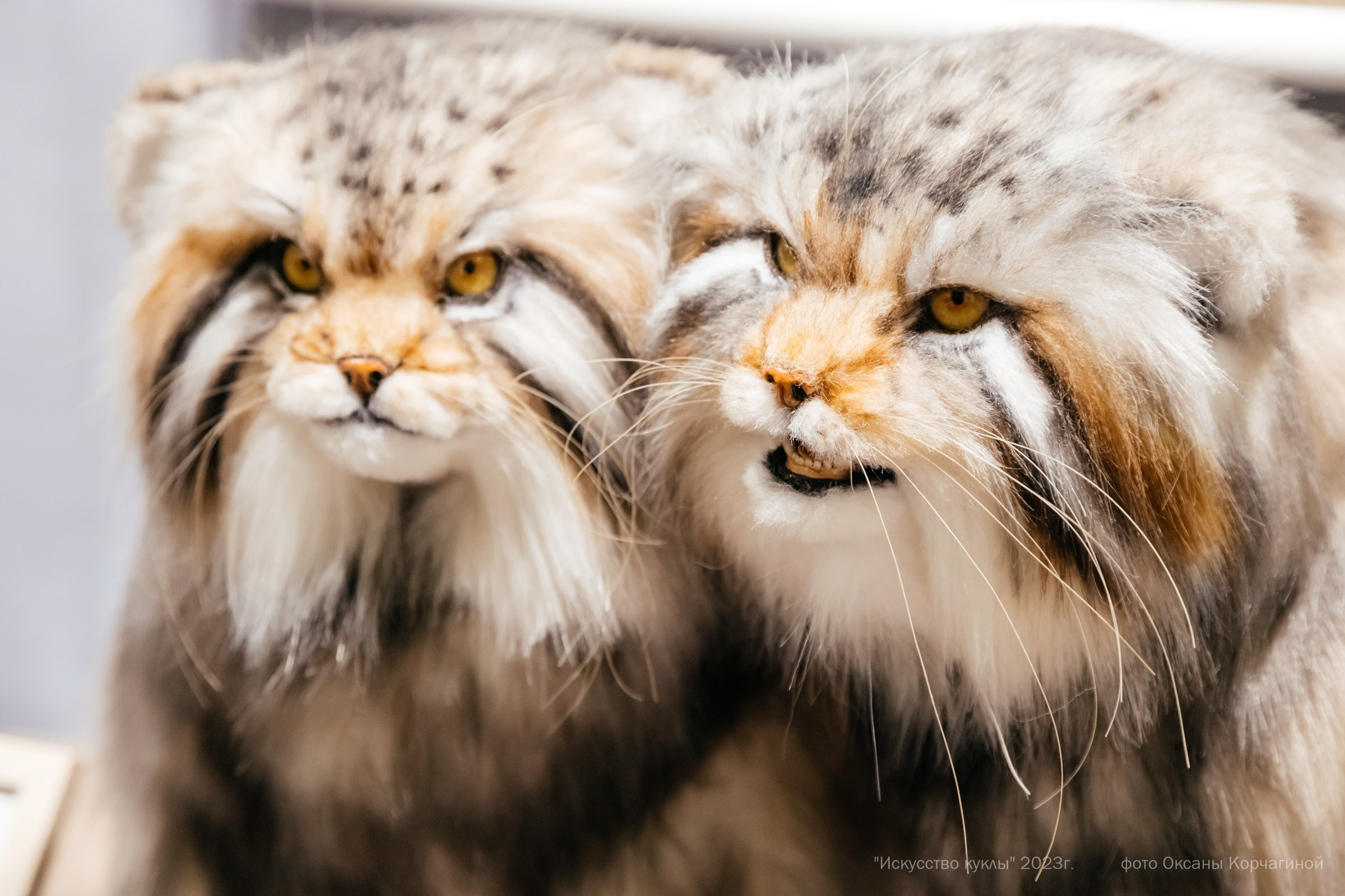 ИСКУССТВО КУКЛЫ. Фотограф в Красноярске Оксана Корчагина