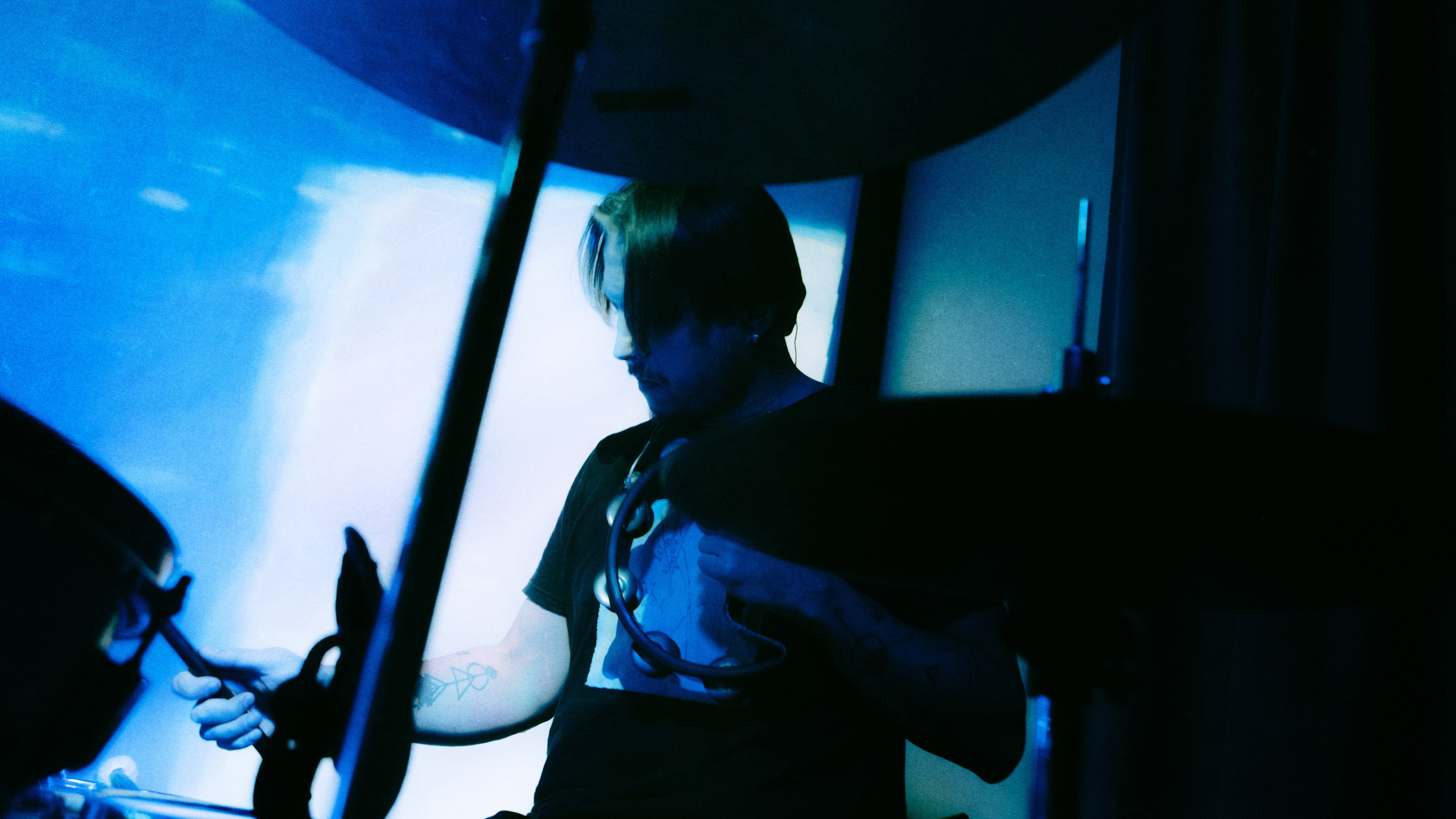 Dog Silent [pwrhs]. Фотограф Москва