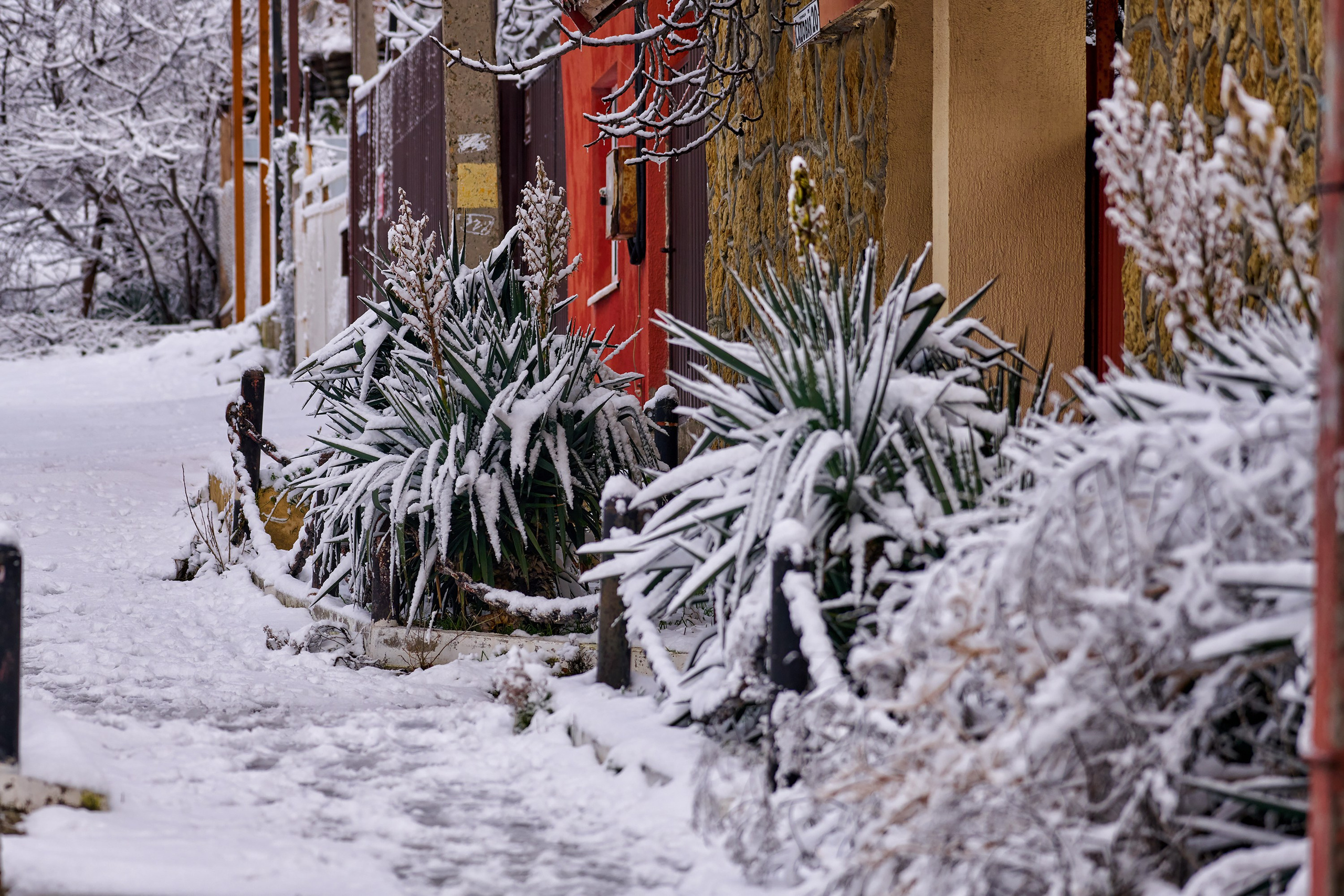 Новороссийск, Novorossiysk, Black sea, Чёрное море. Яркие фото на Чёрном море