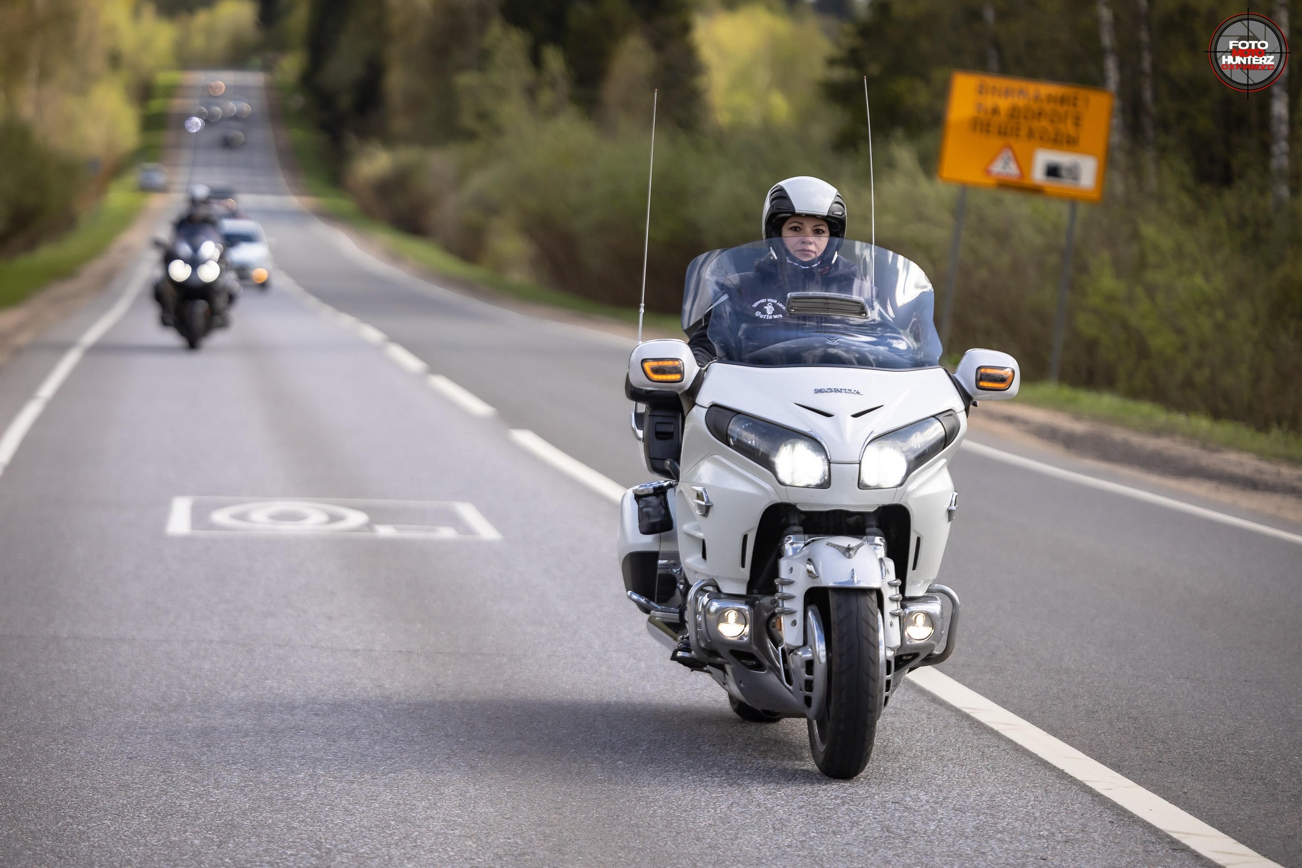 Первое Сафари в 2025 г. на Рогачевском ш. Фотограф Владимир Охрименко