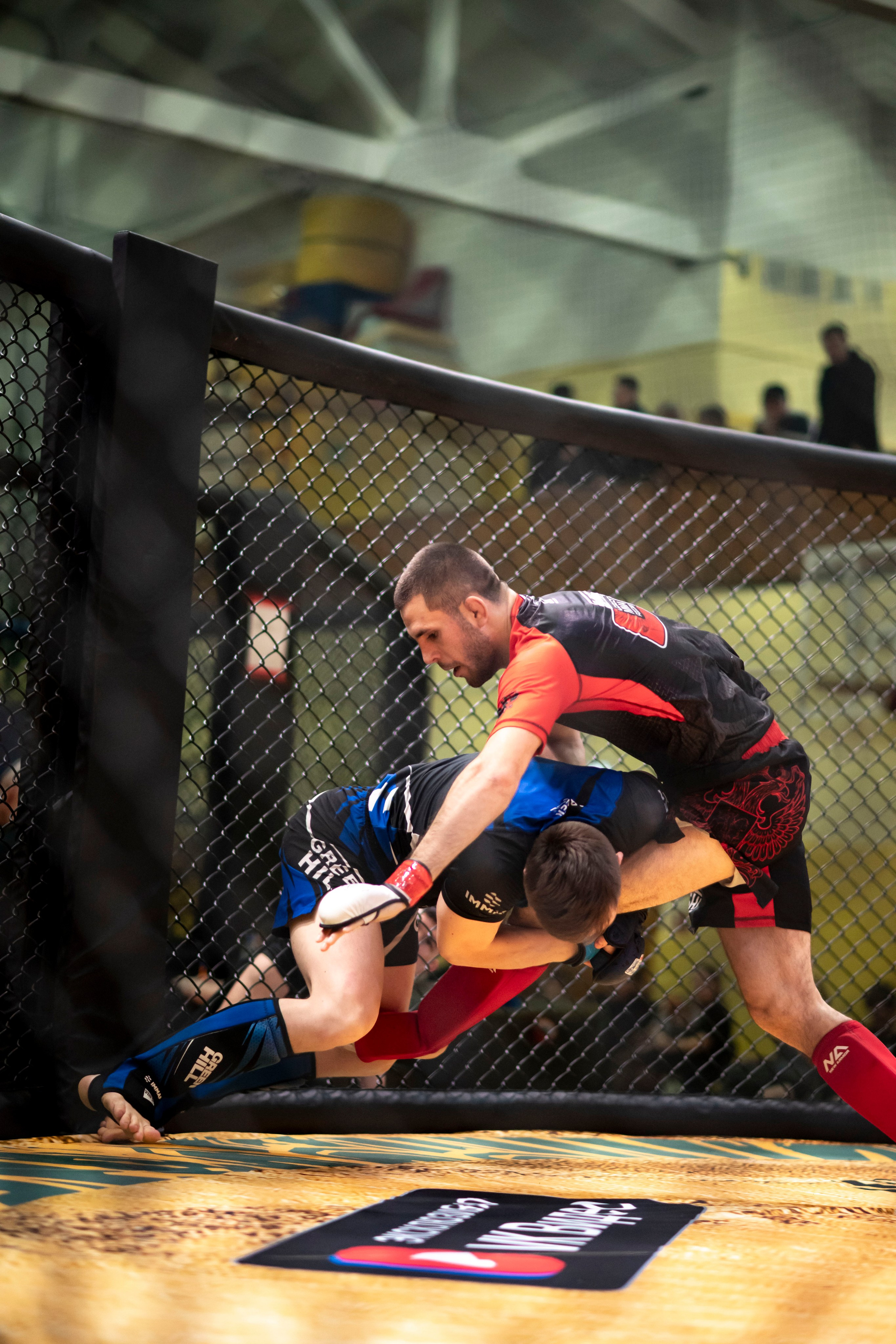 Всероссийский турнир ММА. Новомосковск, ноябрь 2025. Спортивный фотограф в Туле и Тульской области. Файсханова Фото Спорт