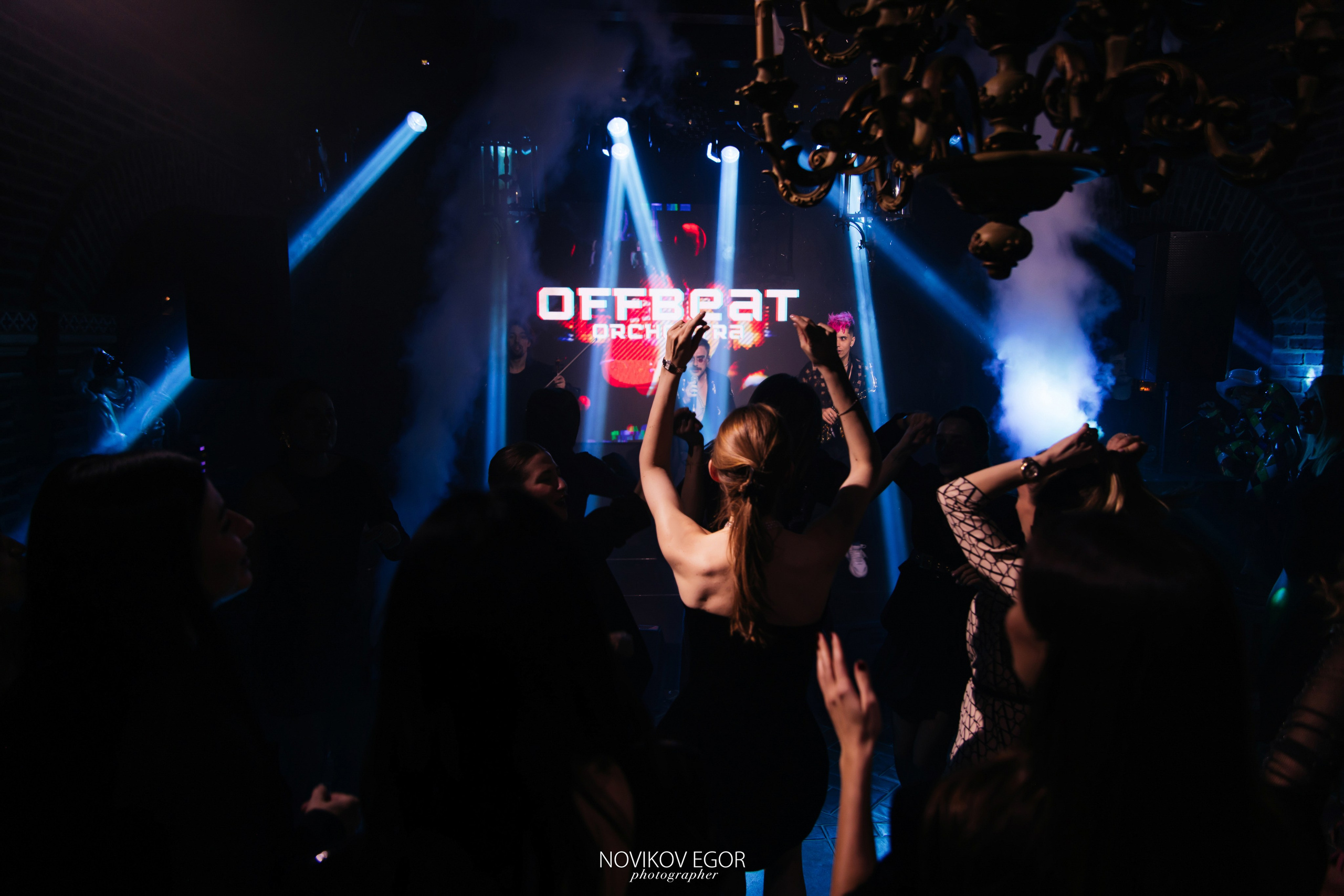 Анютины Глазки. Фотограф Ростов-на-Дону