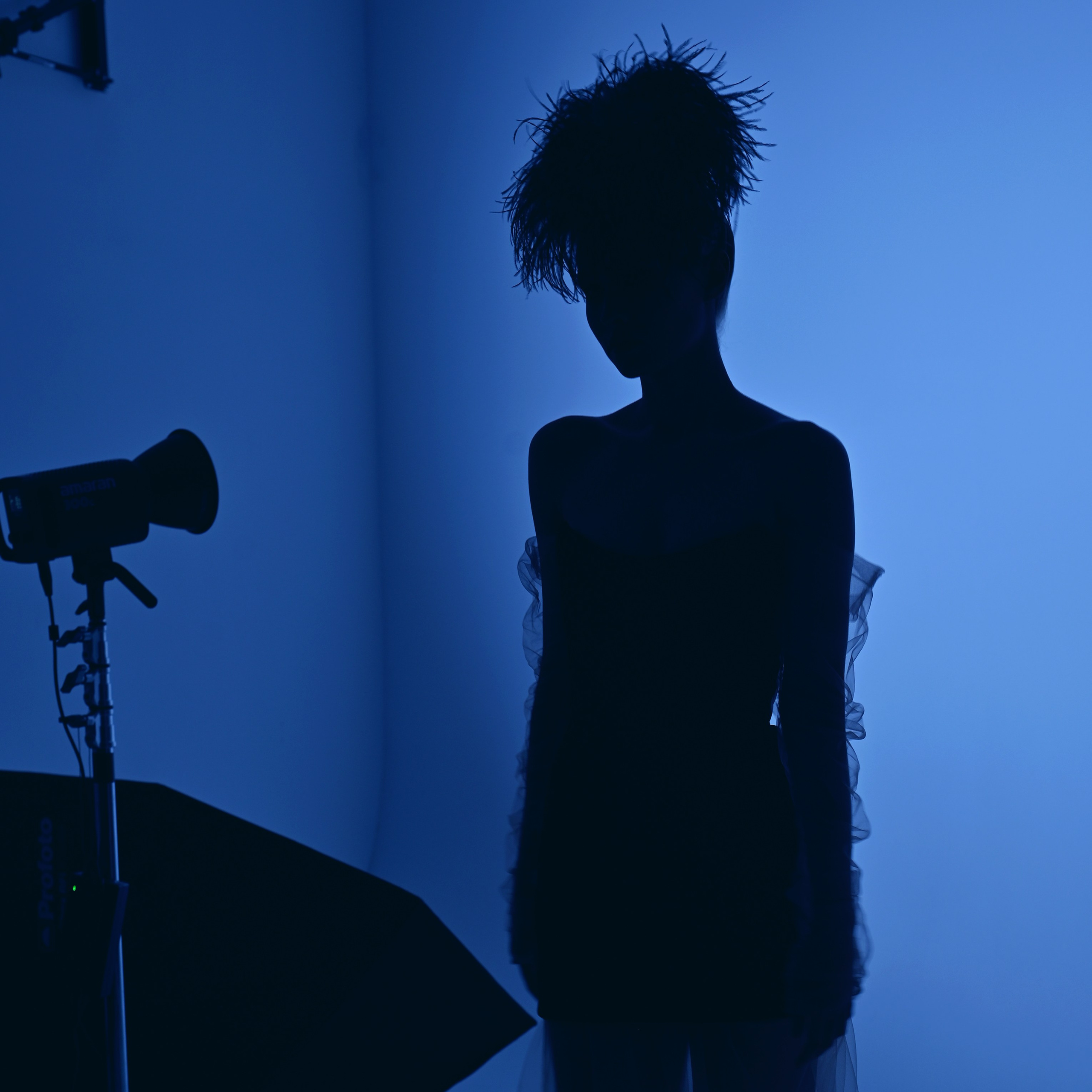 Fashion. Фотограф Альбина Вакунова