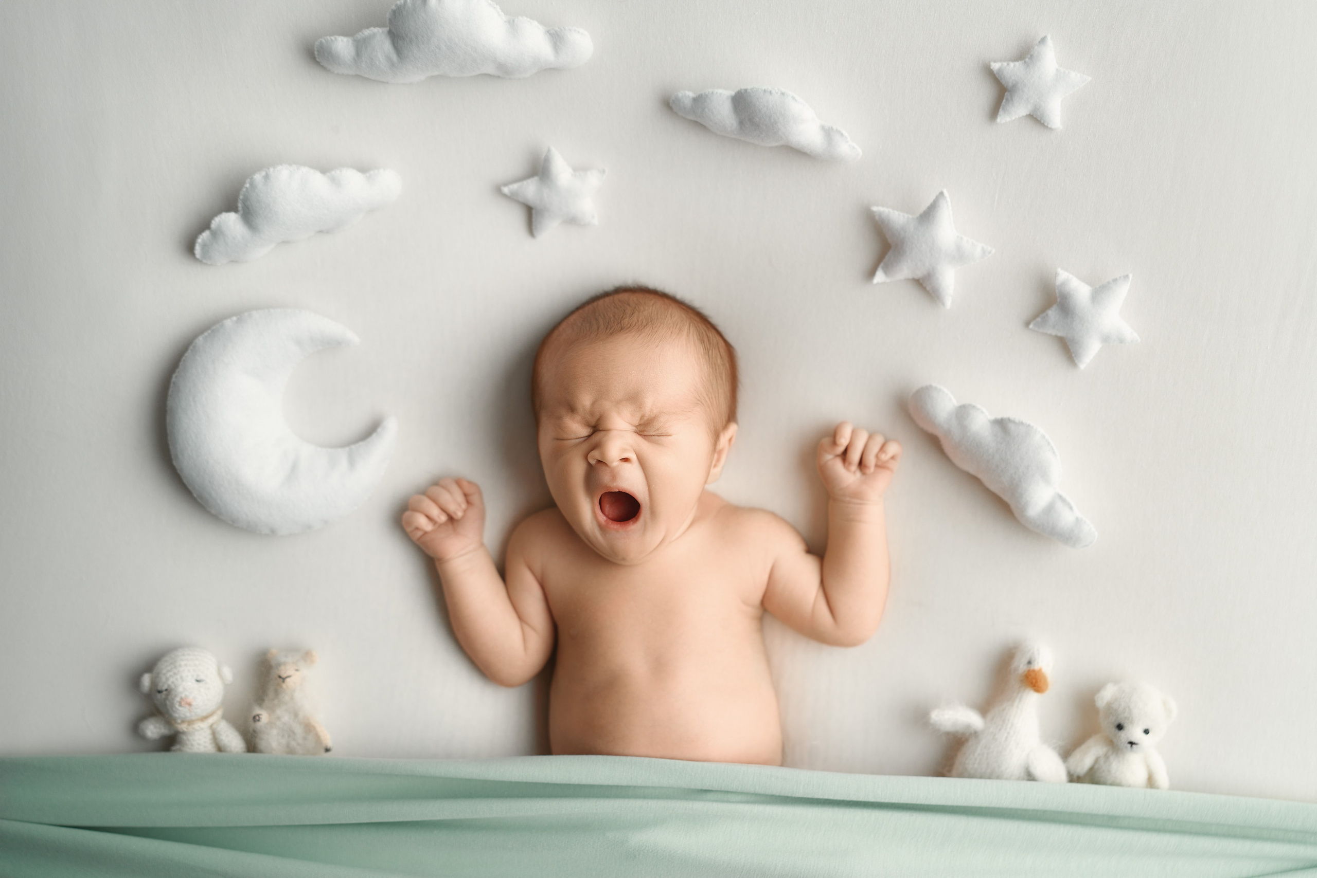 Захар. Фотограф новорожденных во Владивостоке Ромашко Виктория