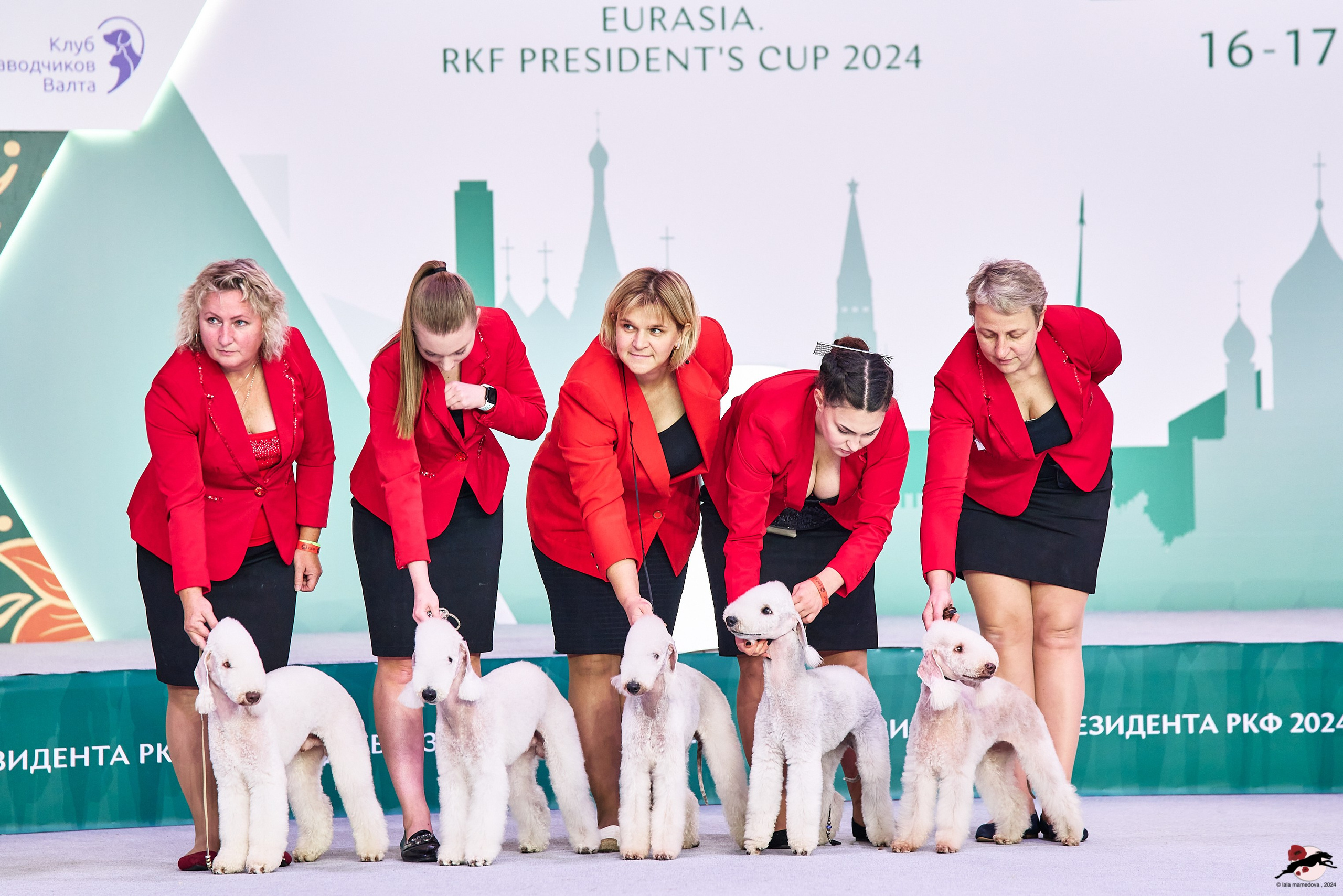 16.11.2024 «ЕВРАЗИЯ. КУБОК ПРЕЗИДЕНТА РКФ 2024»