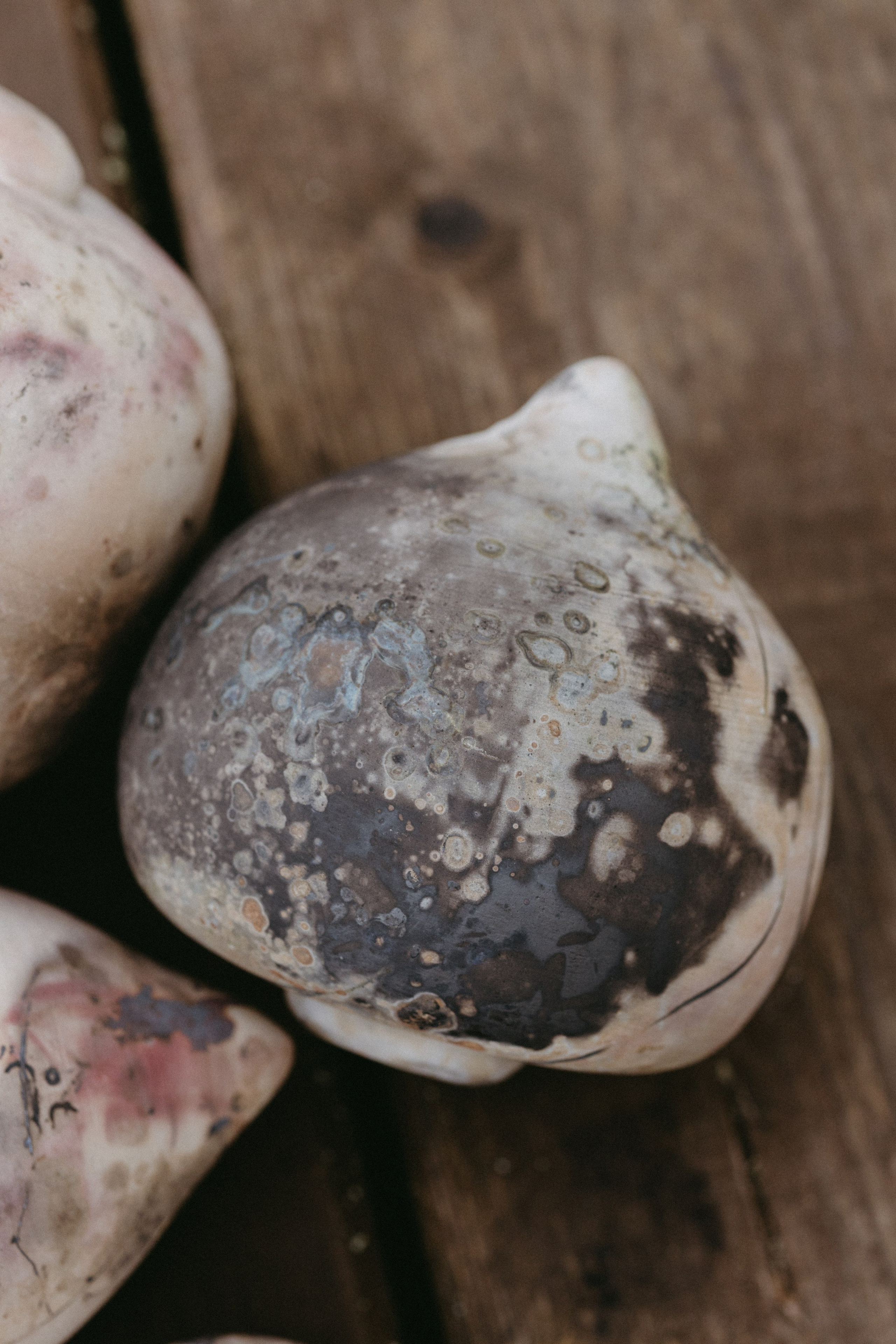 Новые земли. Про любовь