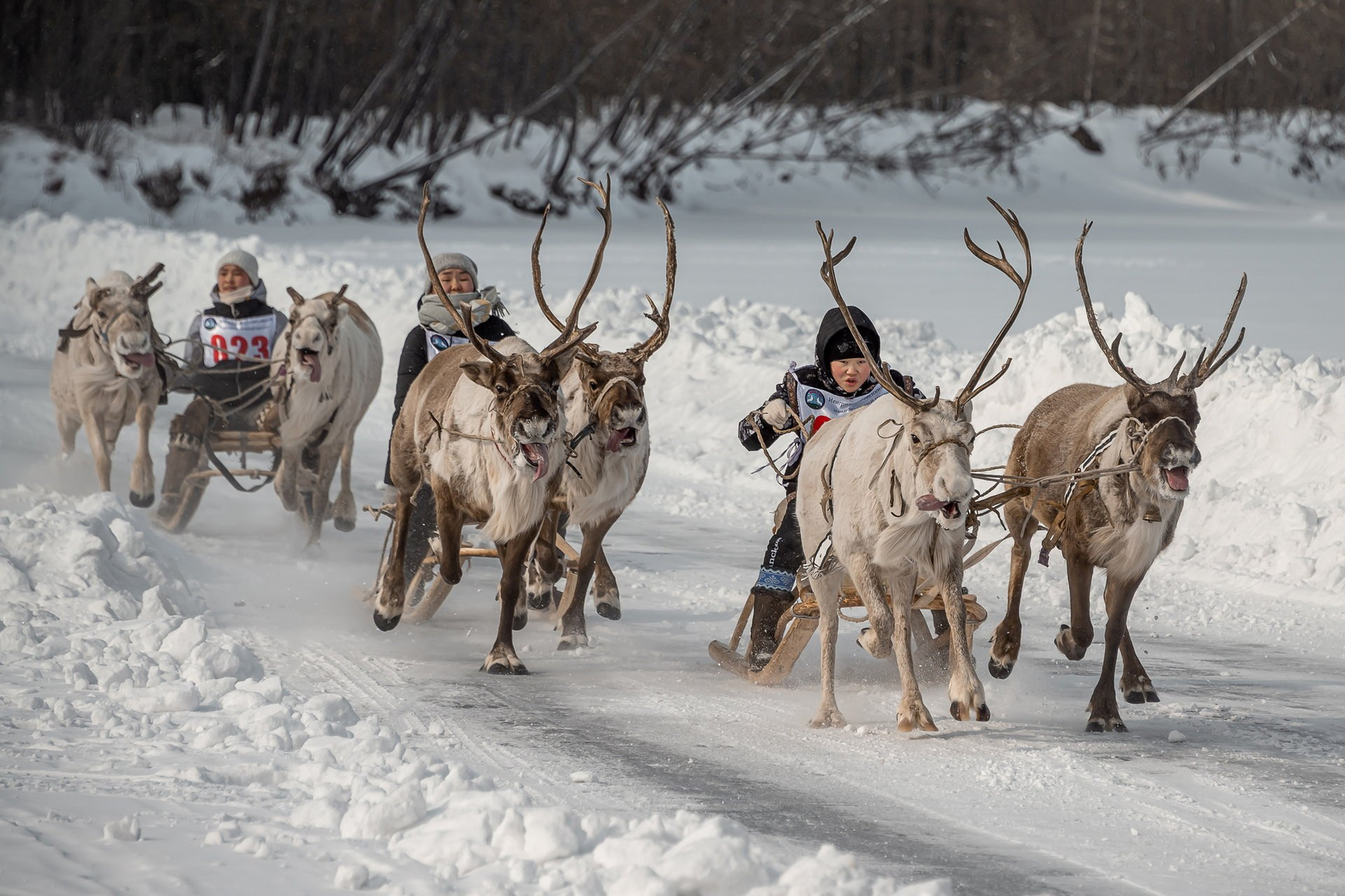 Репортажи. Фотограф Павел «Maverick» Усаченко