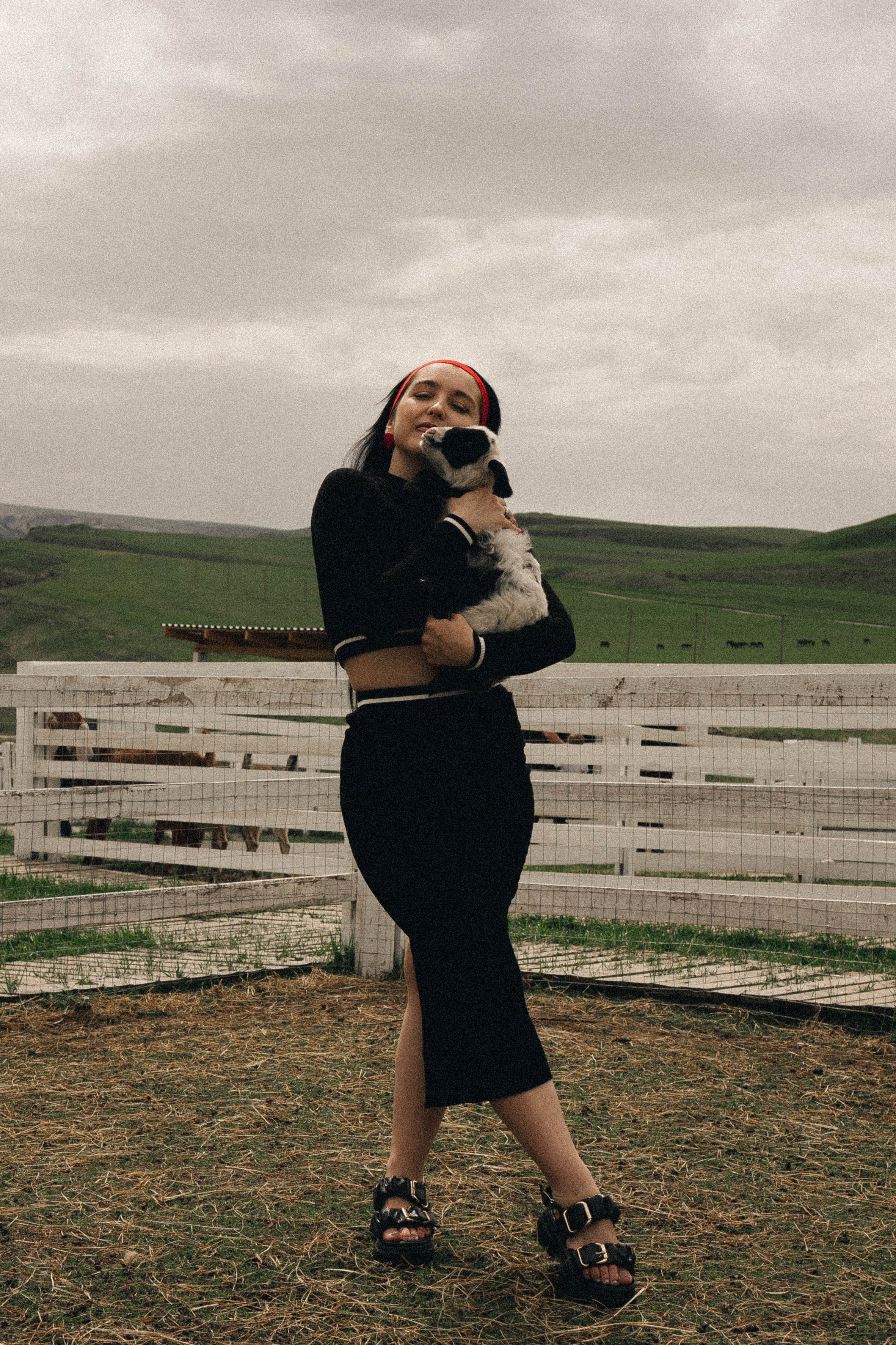 Ферма Альпак. Профессиональный фотограф, Санкт-Петербург — Виктория Богомолова