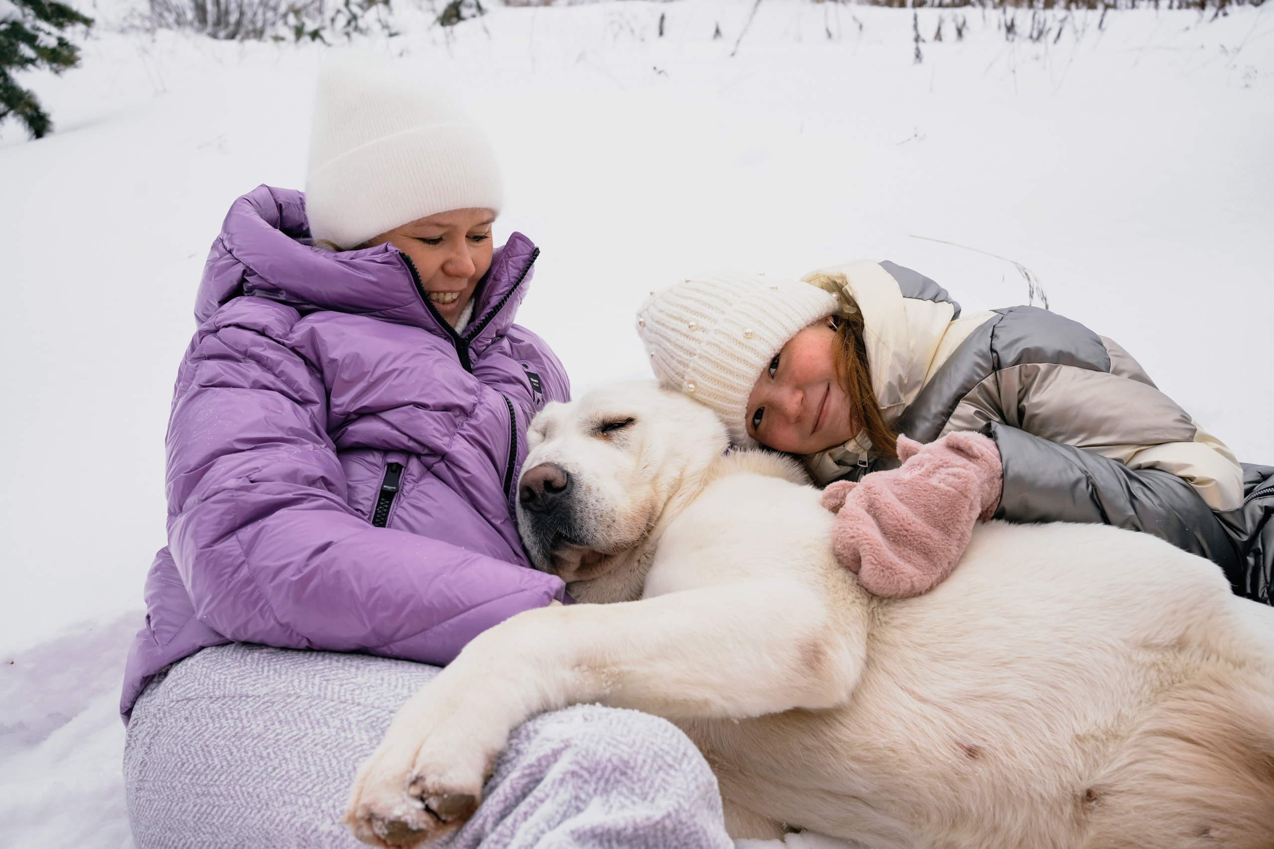 Г. Миасс 2023-2024. Фотограф-анималист Анастасия Большакова