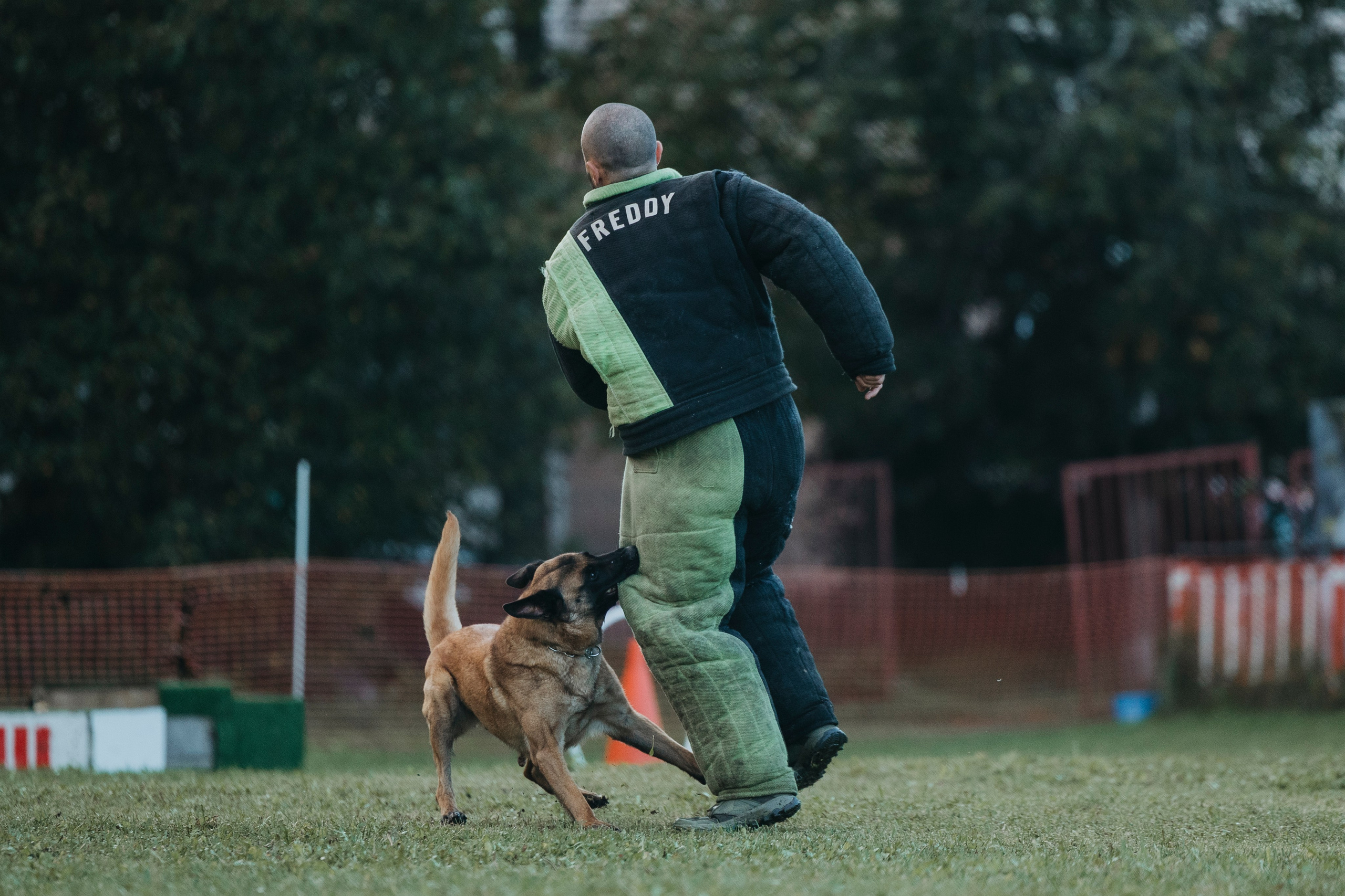 Испытания по мондьорингу г. Пушкин 29.09.2024. Фотограф-анималист Анна Маринич
