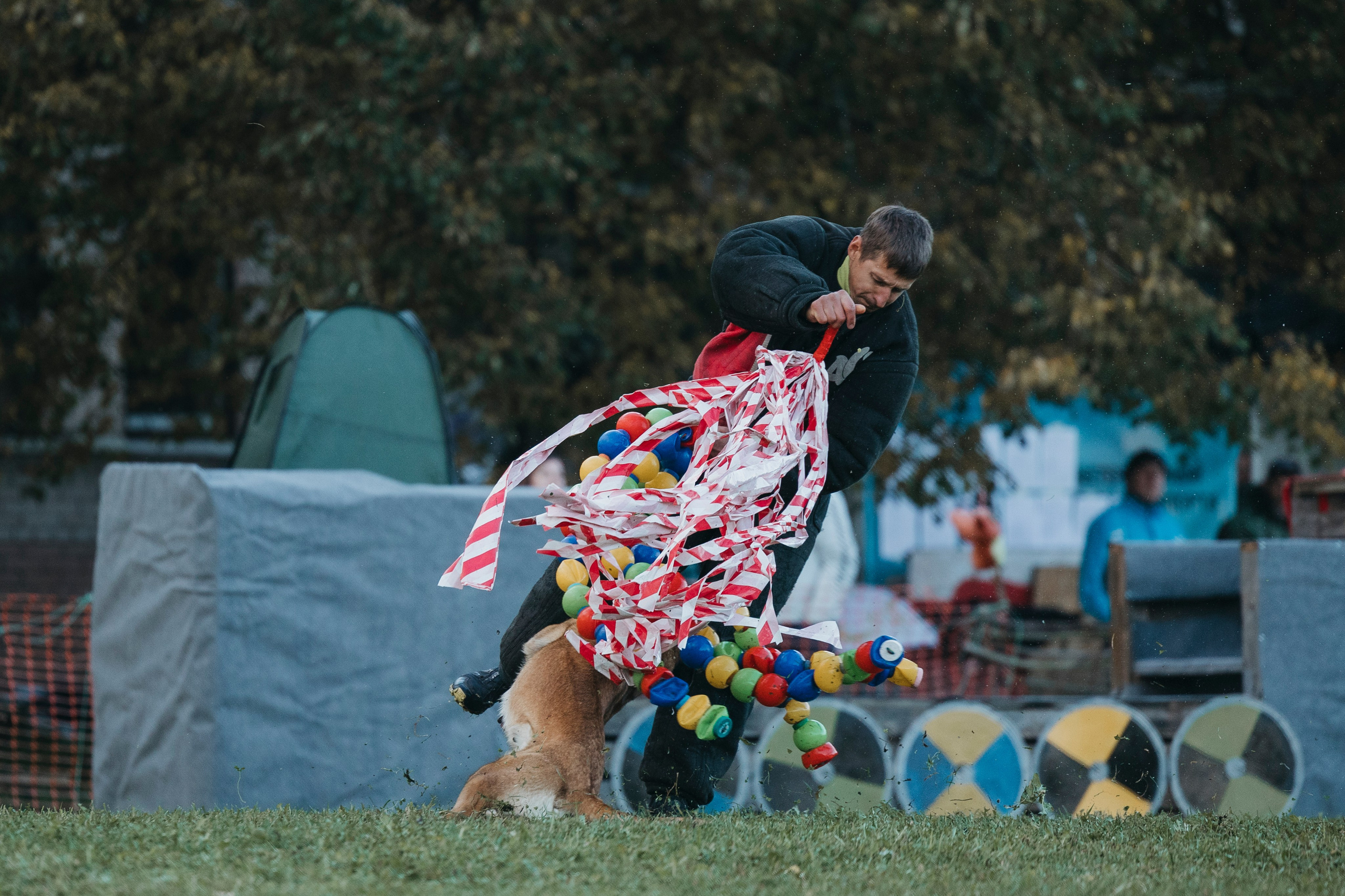 Испытания по мондьорингу г. Пушкин 29.09.2024. Фотограф-анималист Анна Маринич