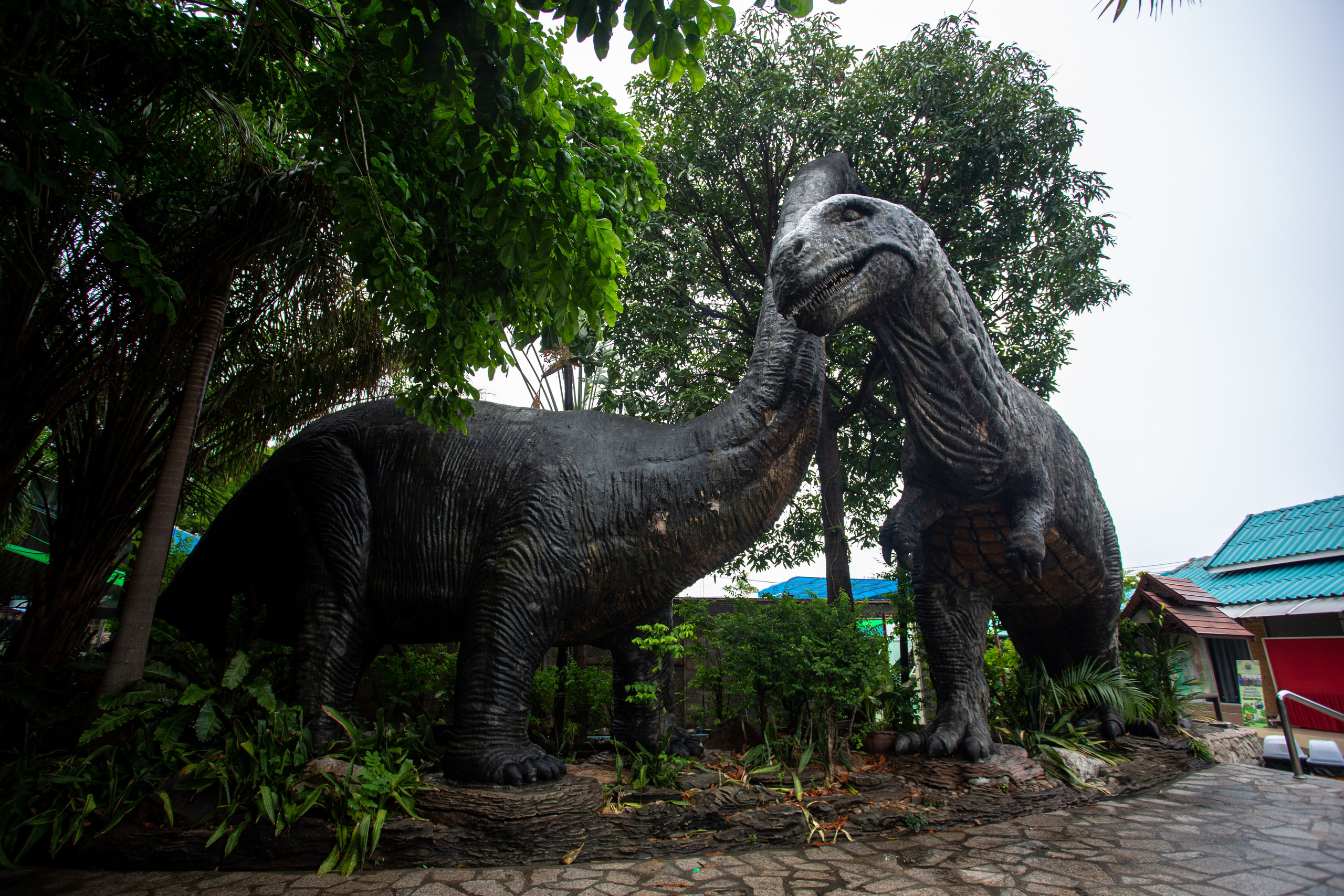 Samut Prakan Crocodile Farm & Zoo. Photographer Sonkina Tatiana (Tanya Ash)