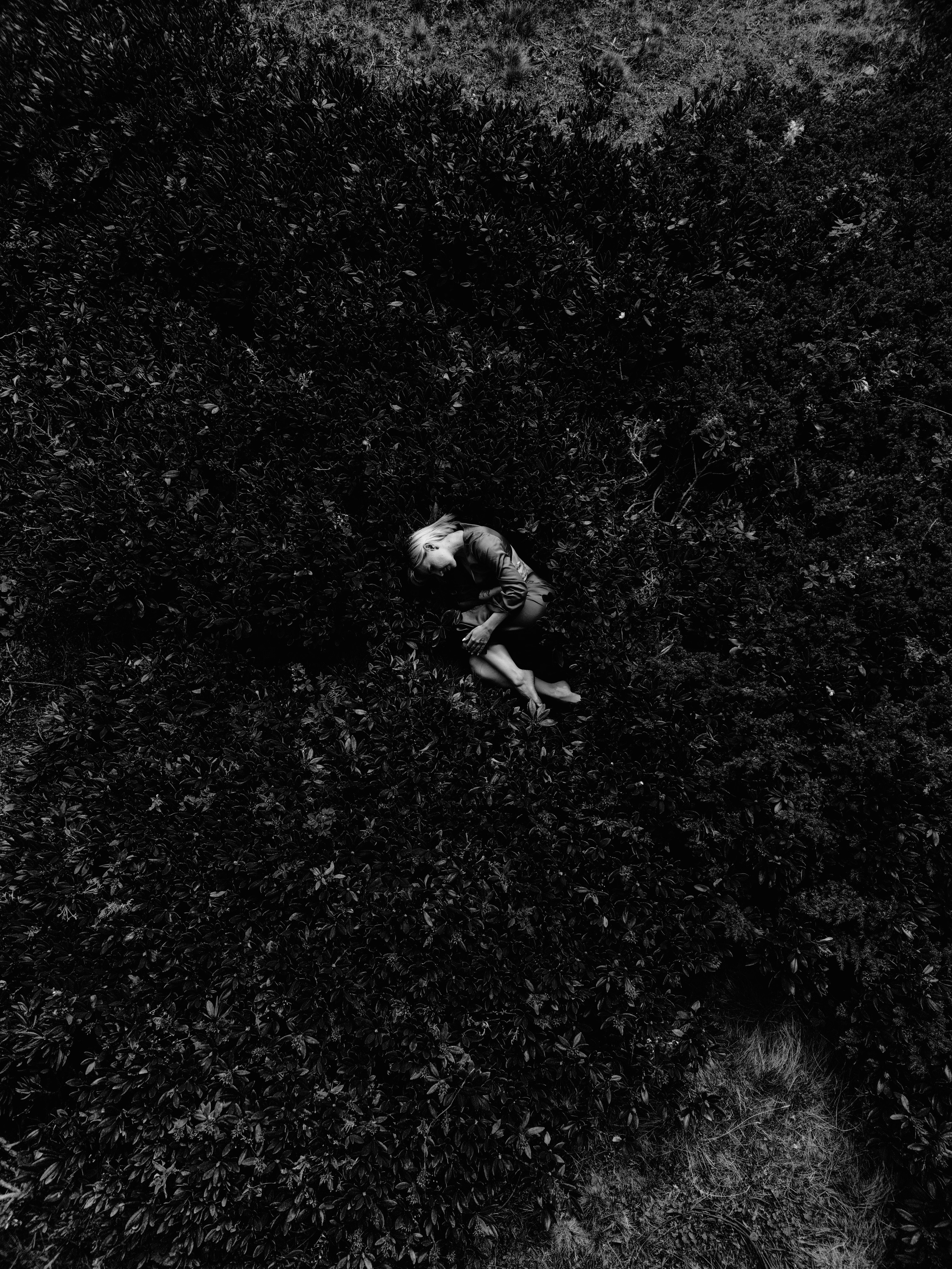 Кадр сверху с коптера на фоне травы