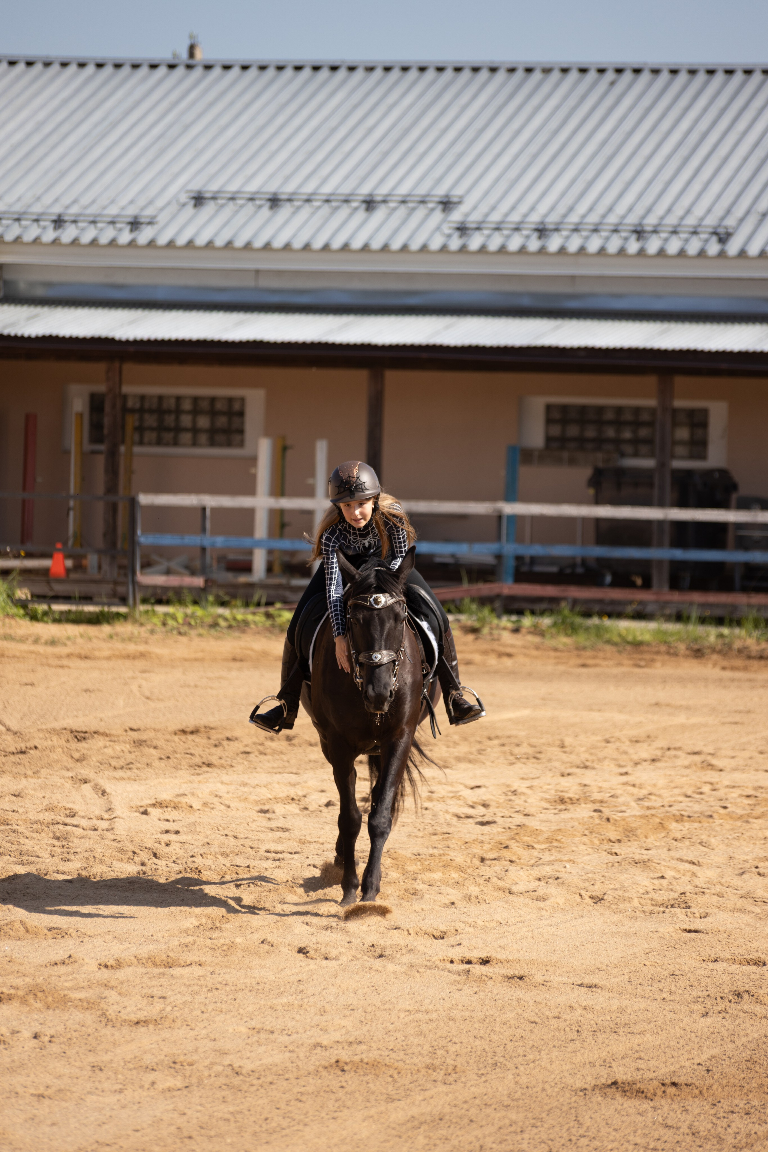 Конюшня. Фотограф в Москве и Истре