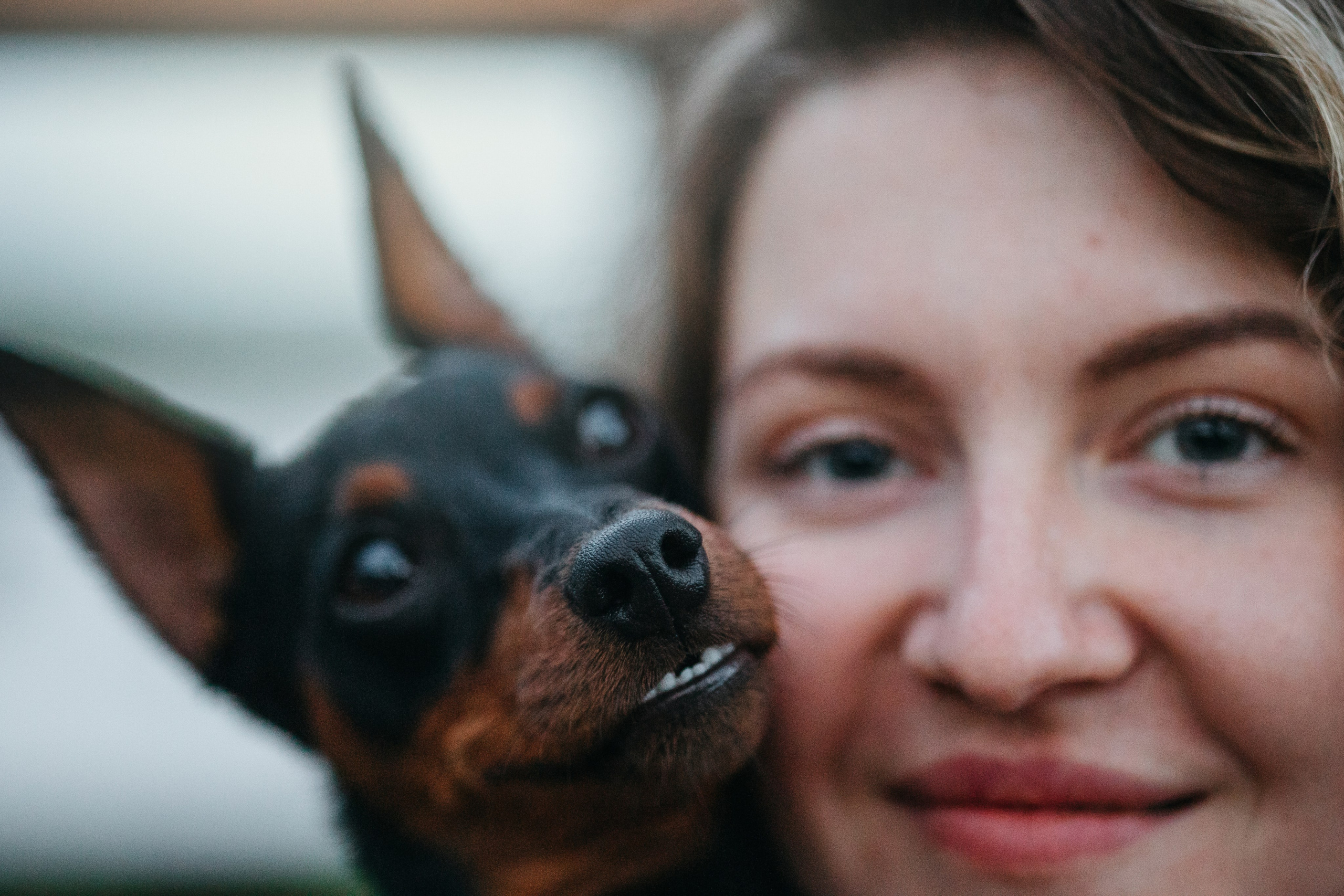 Сириус и его семья. Фотограф — Анималист | Санкт-Петербург