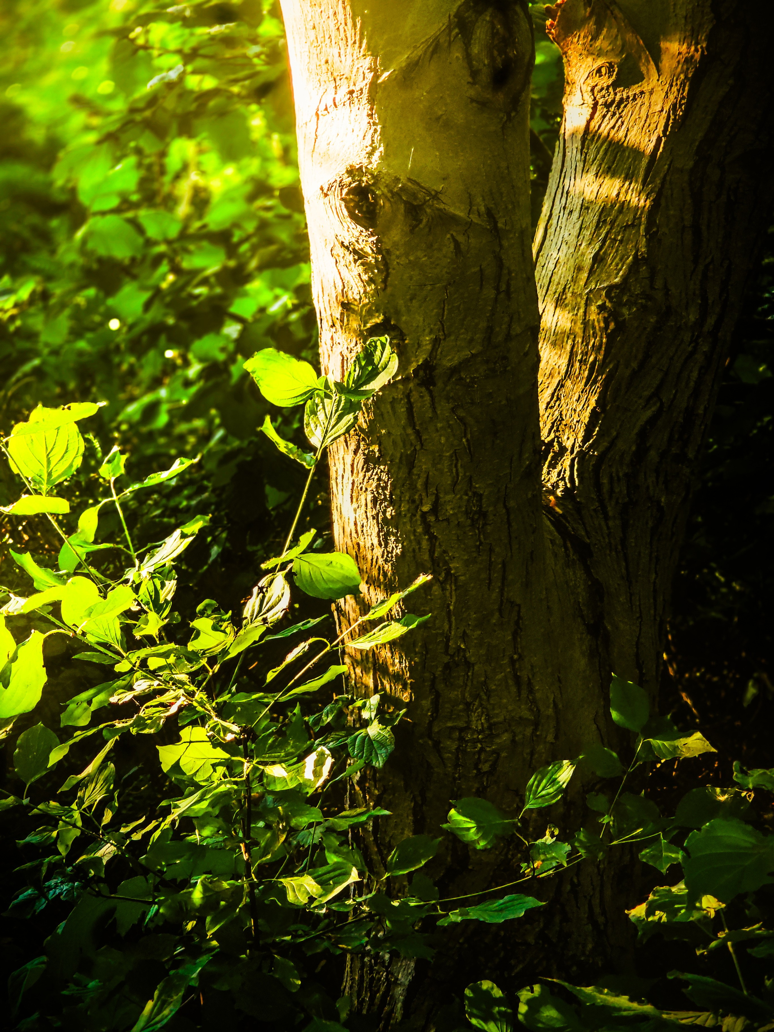 Пейзажи и уличная съёмка