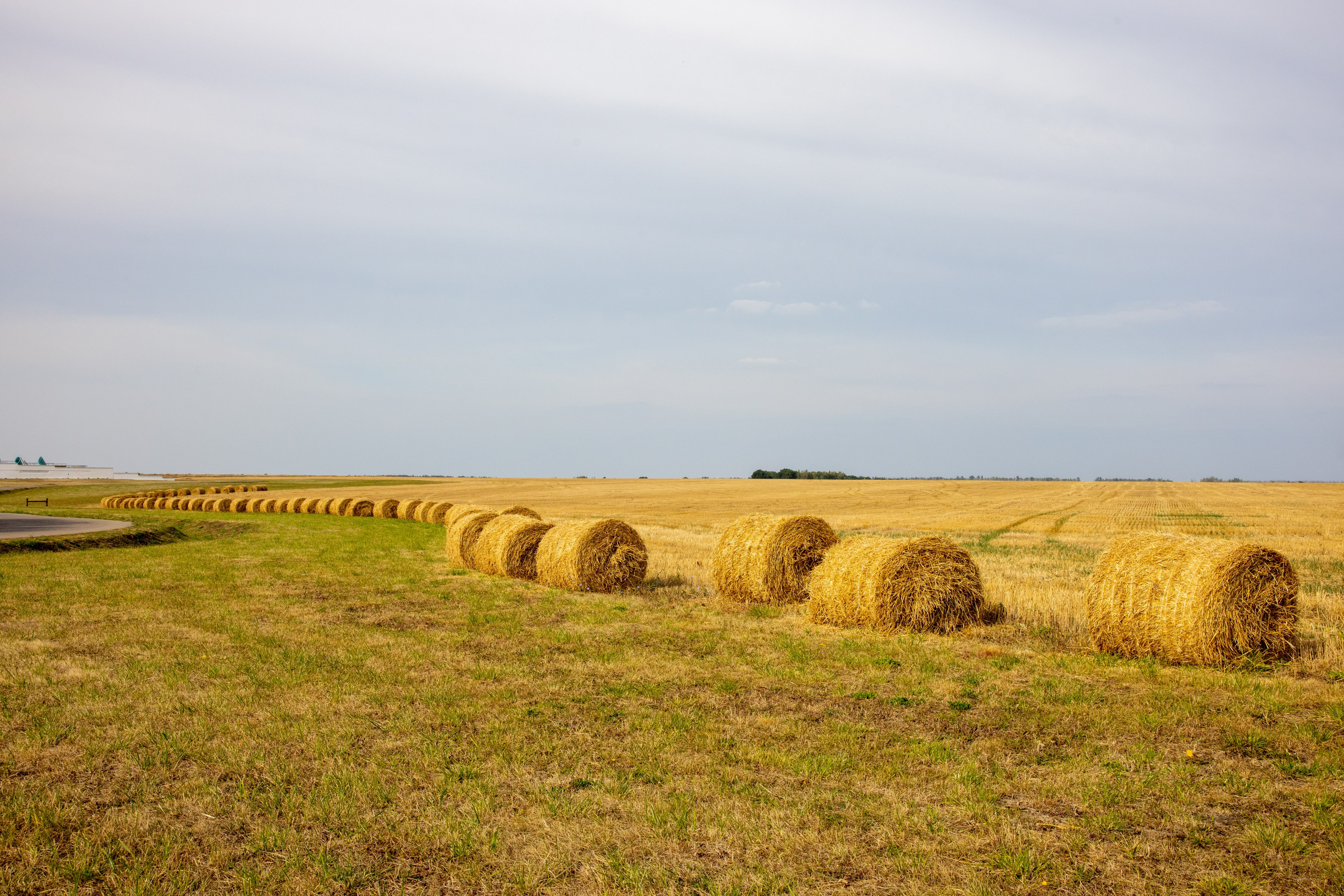Куликово Поле. Фотограф в Туле Крупский АнДРей. Фотостудия «КАДР71» в Туле